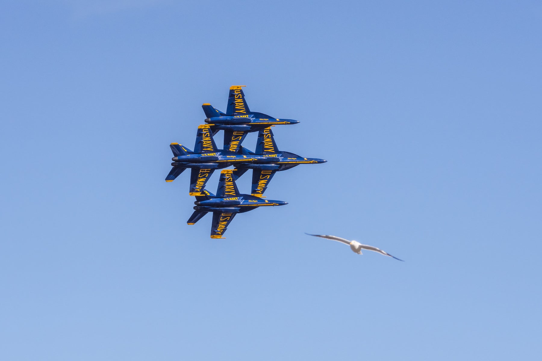 jpg/Alpha-Universe-BTS-Fleet-Week-Andrew-Eggers-6-1200_boundshlhyy3.jpg?height=1200&fit=bounds