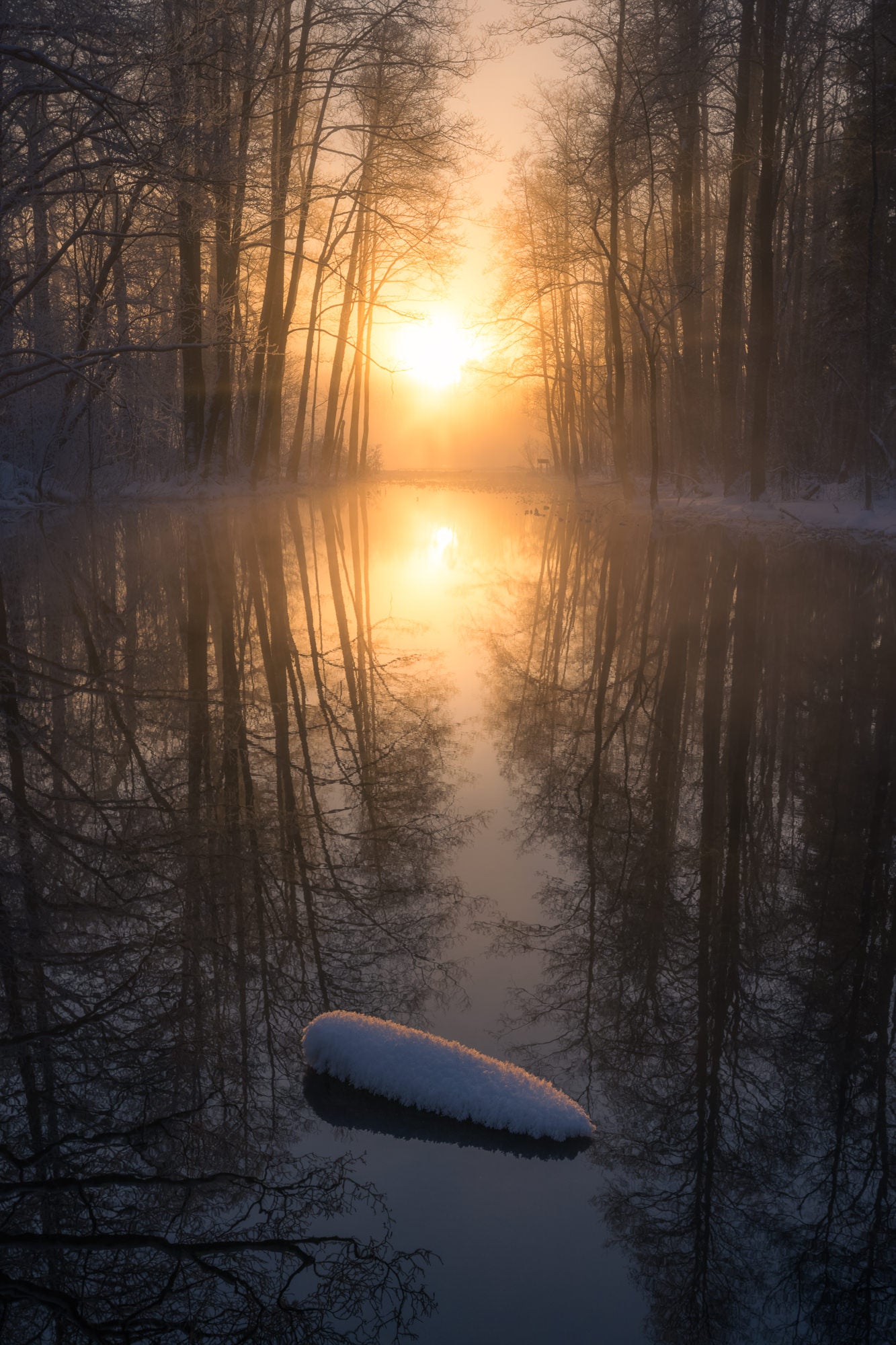 Photo by Herve Rannu. Sony Alpha 7R V. Sony 16-35mm f/4 G PZ. 1/200-sec., f/13, ISO 100
