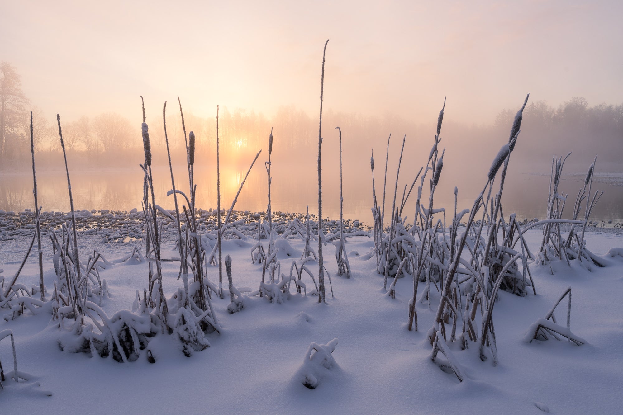 Photo by Herve Rannu. Sony Alpha 7R V. Sony 16-35mm f/4 G PZ. 1/40-sec., f/11, ISO 100
