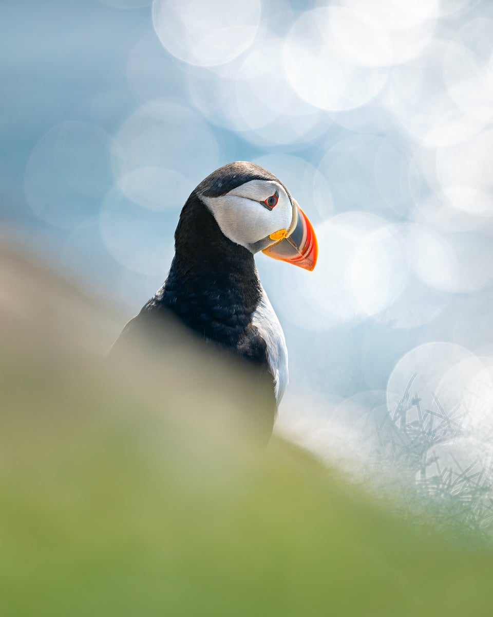 jpg/Alpha-Universe-BTS-Magnus-Winbjork-Puffin-BTS1-1200_bounds0j3hwr.jpg?height=1200&fit=bounds