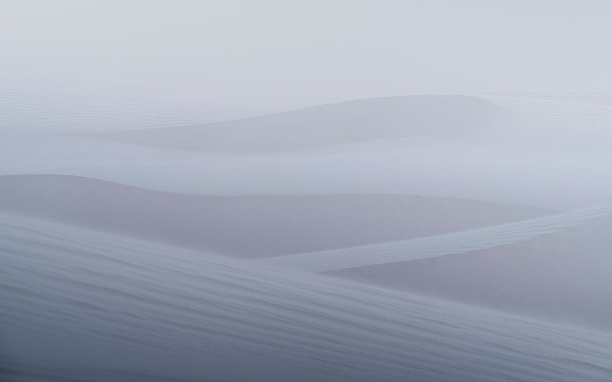 Photo by Ryan Ditch. Sony Alpha 7R V. Sony 100-400mm f/4.5-5.6 G Master. 1/100-sec., f/16, ISO 100
