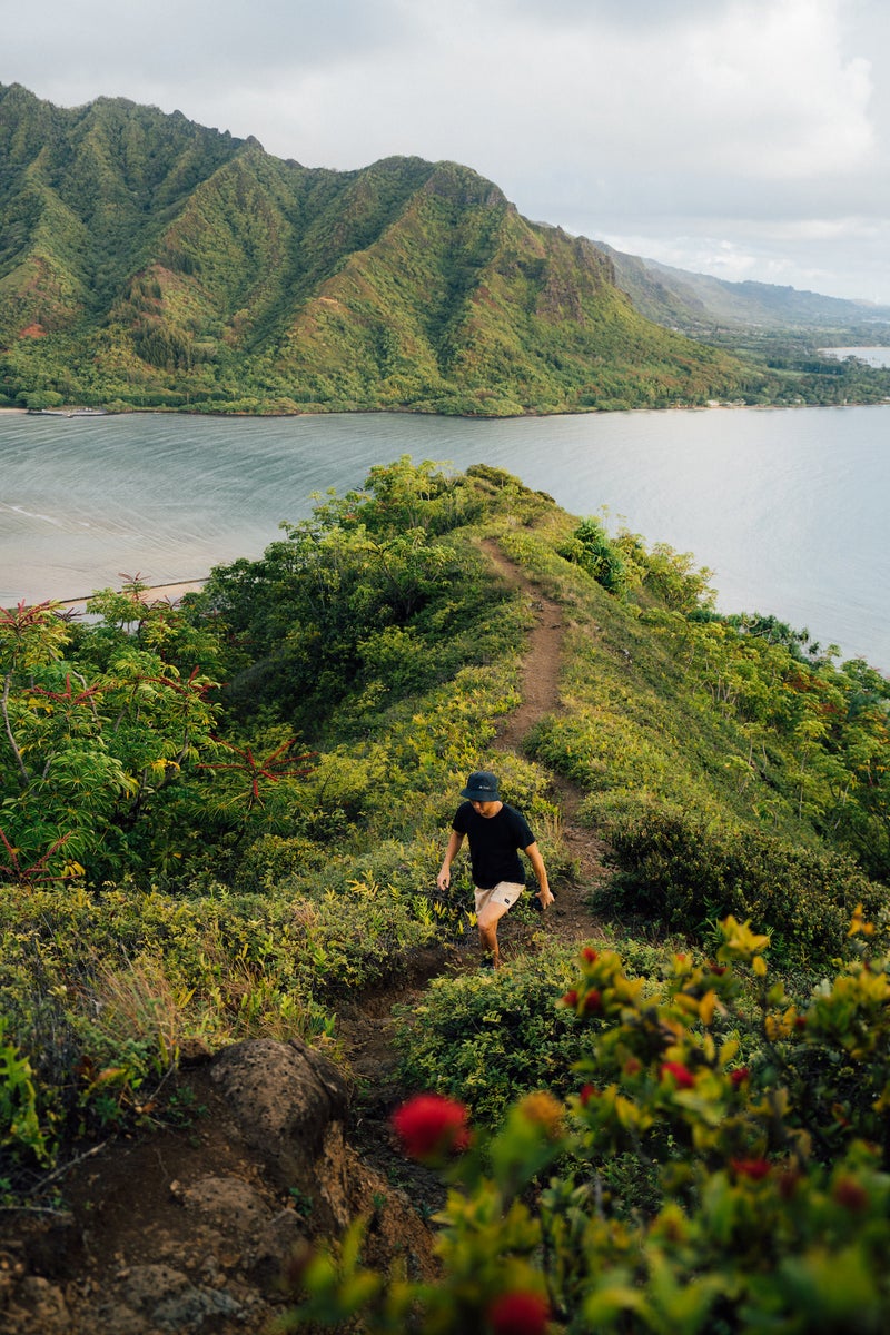 jpg/Alpha-Universe-BTS-Vince-Lim-HawaiiLandscape-1-1200_bounds7xuvyn.jpg?height=1200&fit=bounds