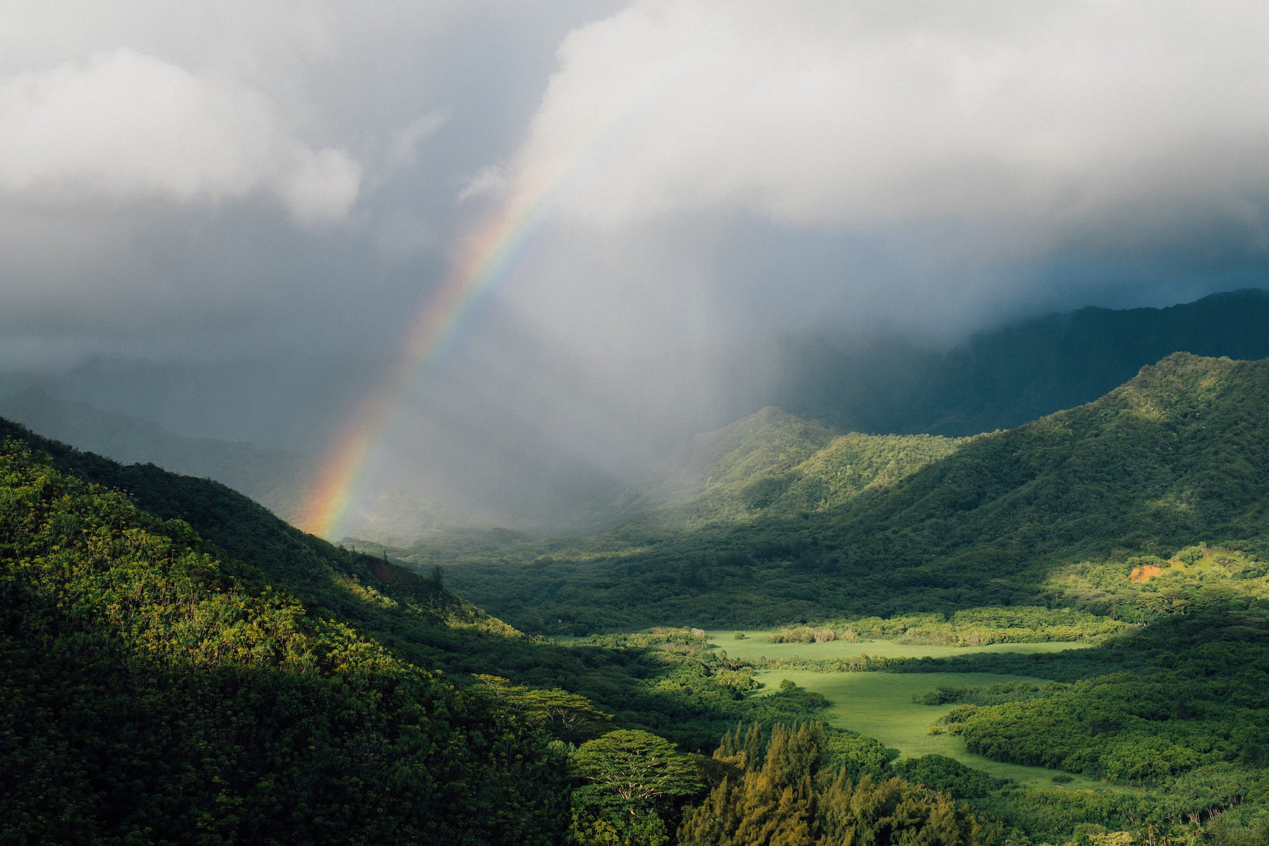jpg/Alpha-Universe-BTS-Vince-Lim-HawaiiLandscape-3-1200_bounds8hl9qu.jpg?height=1200&fit=bounds