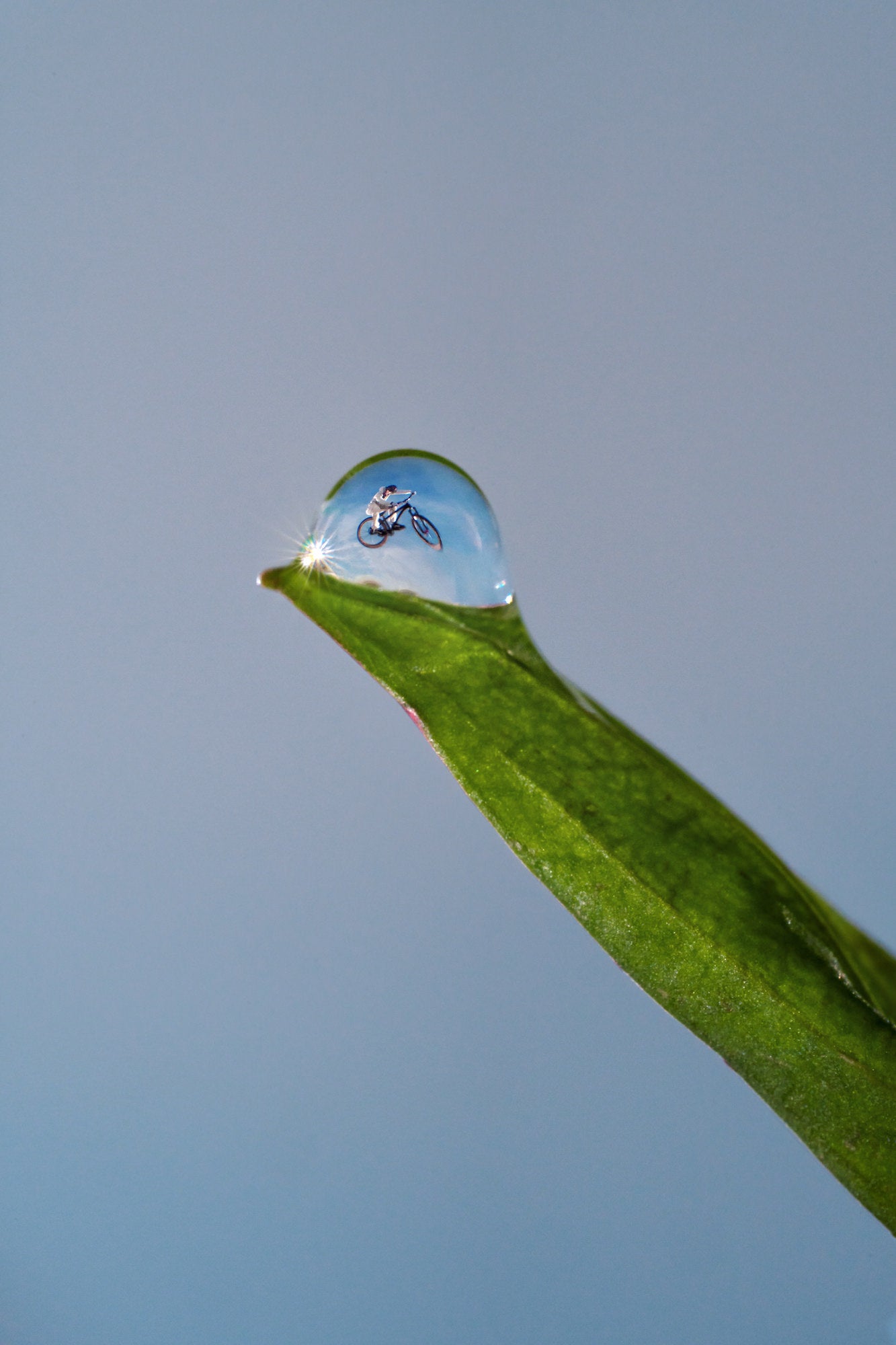 MTB rider reflected inside a single water drop captured on Alpha 7R V with 90mm macro lens