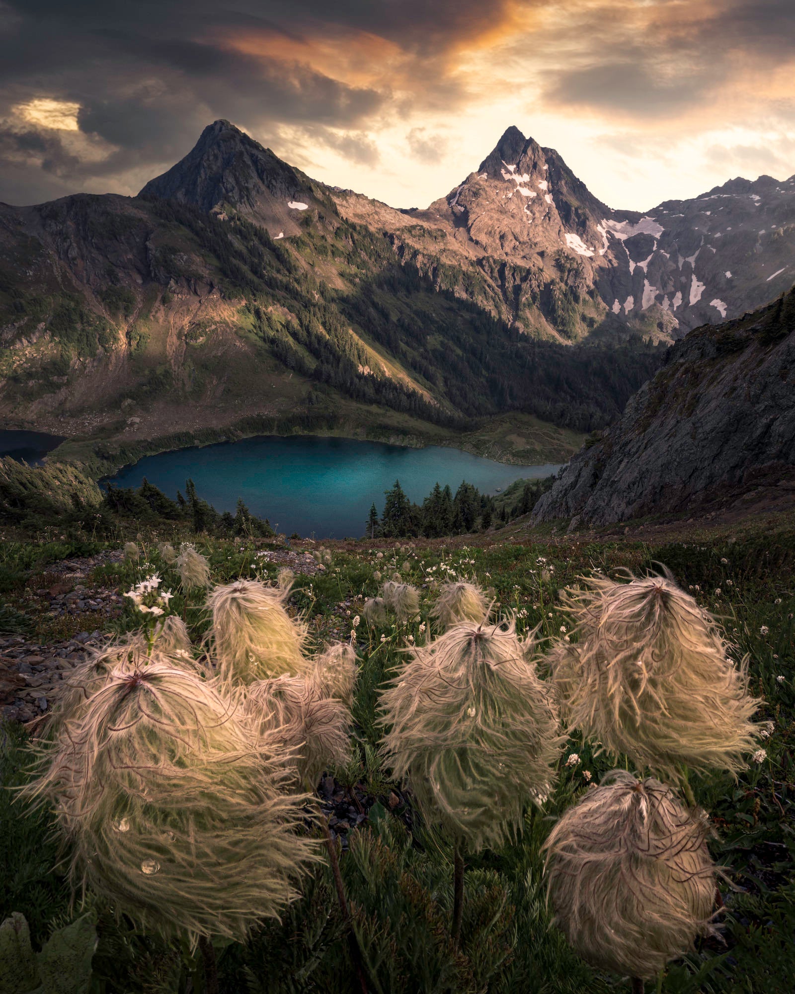 Photo by Jess Santos. Sony Alpha 7R IV. Sony 12-24mm f/2.8 G Master. 1/40-sec., f/11, ISO 100