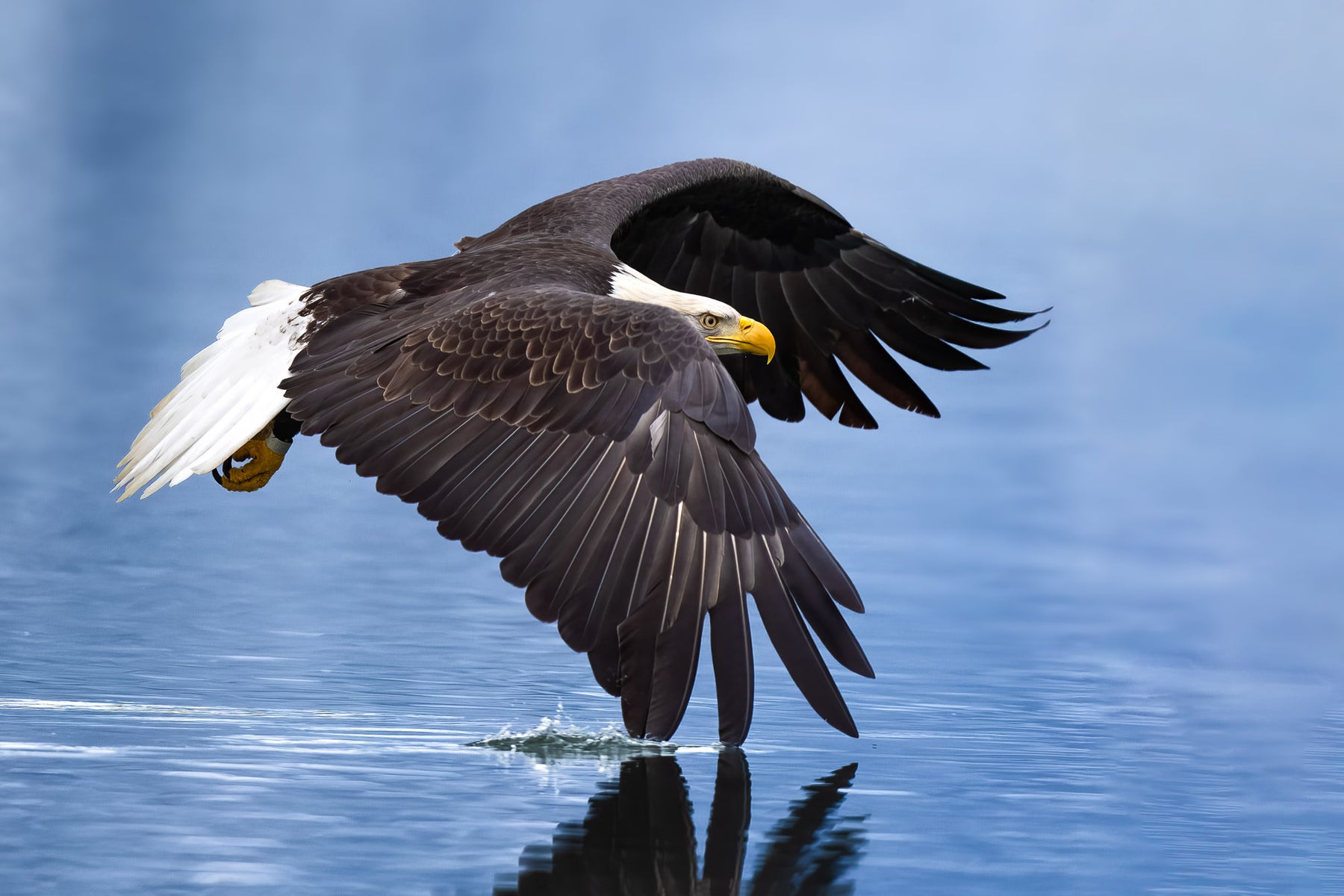 jpg/Alpha-Universe-CameraSetup-Wildlife-Colby-Brown-8-1200_bounds6leogc.jpg?height=1200&fit=bounds