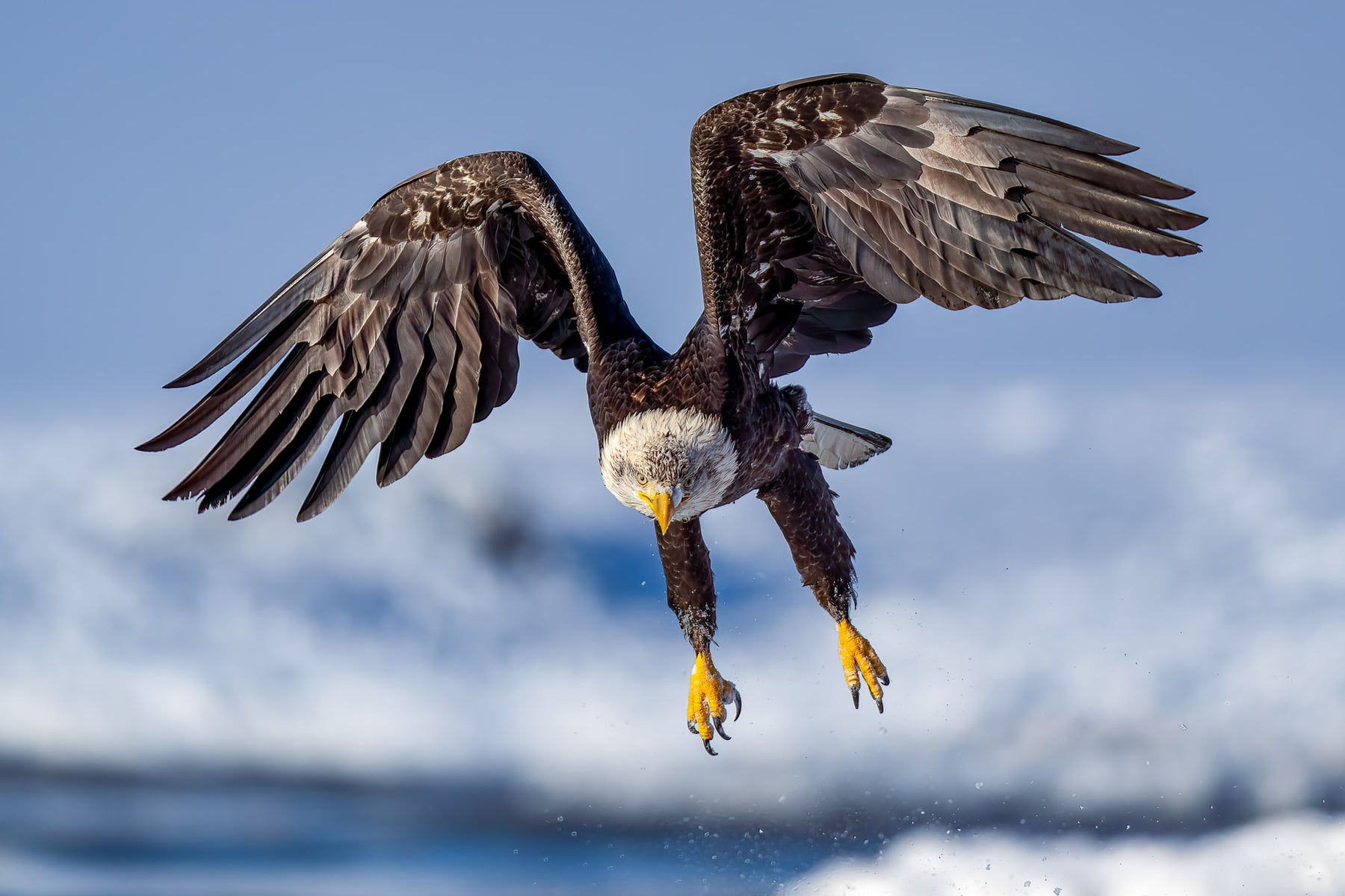 jpg/Alpha-Universe-CameraSetup-Wildlife-Colby-Brown-9-1200_boundsx4ttbd.jpg?height=1200&fit=bounds