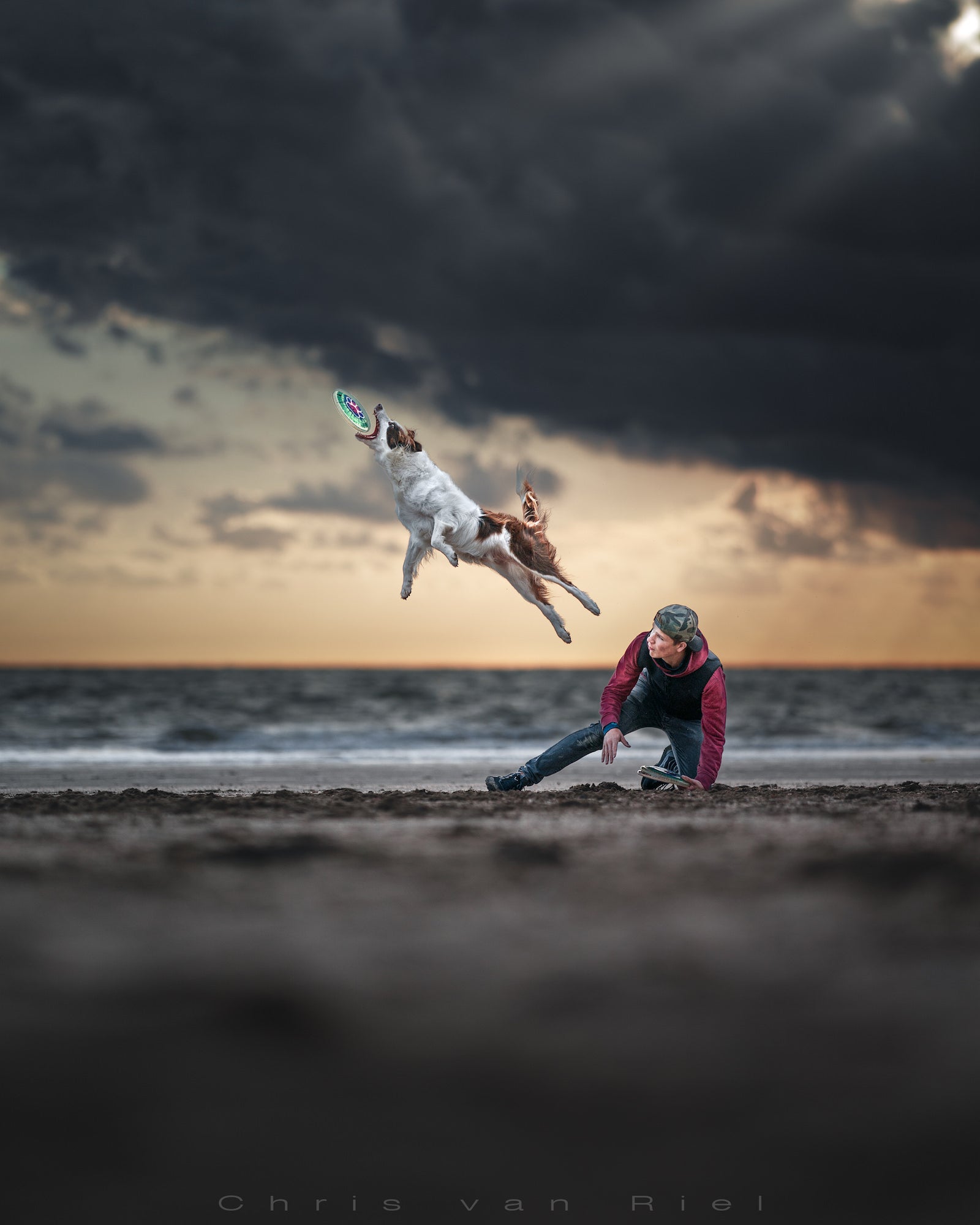 Alpha-Universe-Chris-Van-Riel-Dog-Action-3.HyXcQZcZdF.JPG