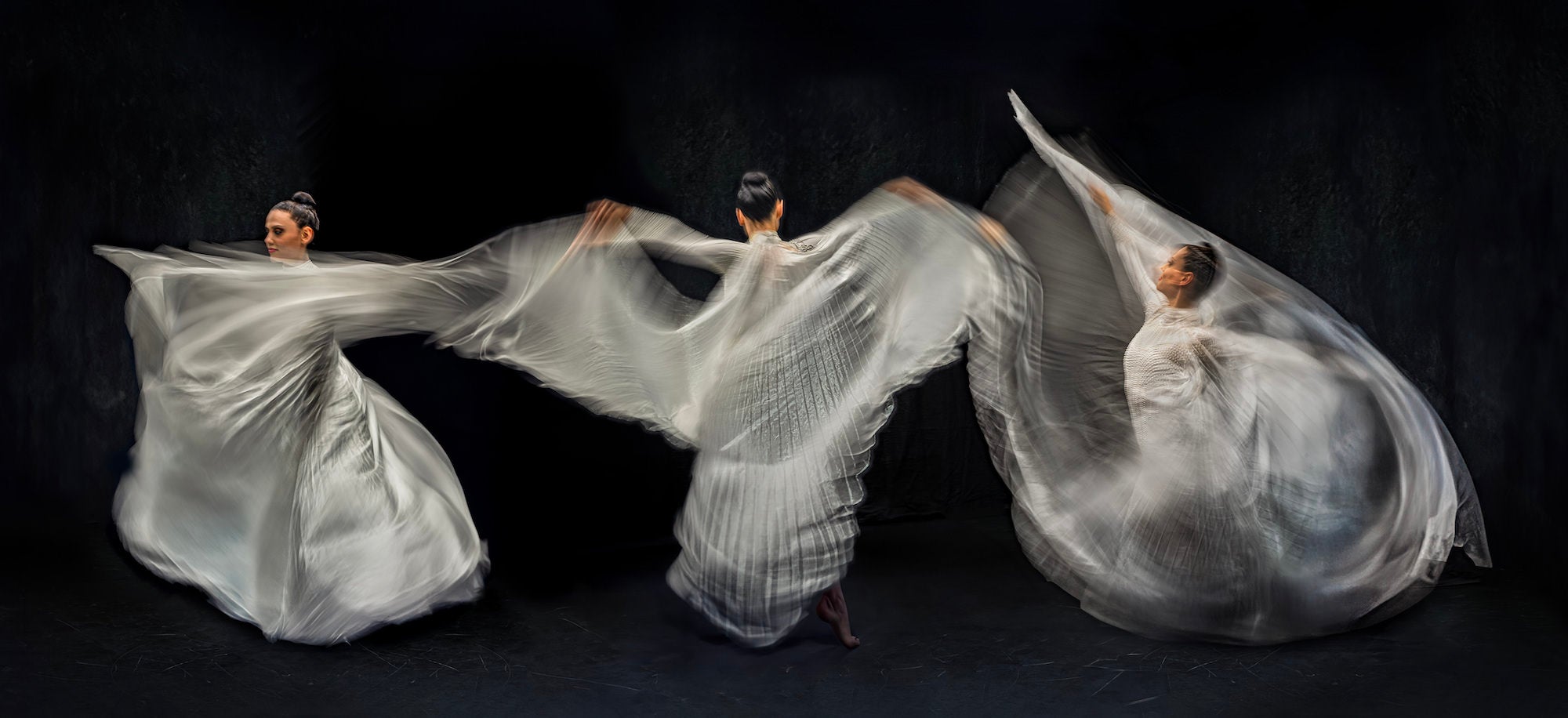 Photo by Garrette Baird. Sony Alpha 1. Sony 24-70mm f/2.8 G Master II.