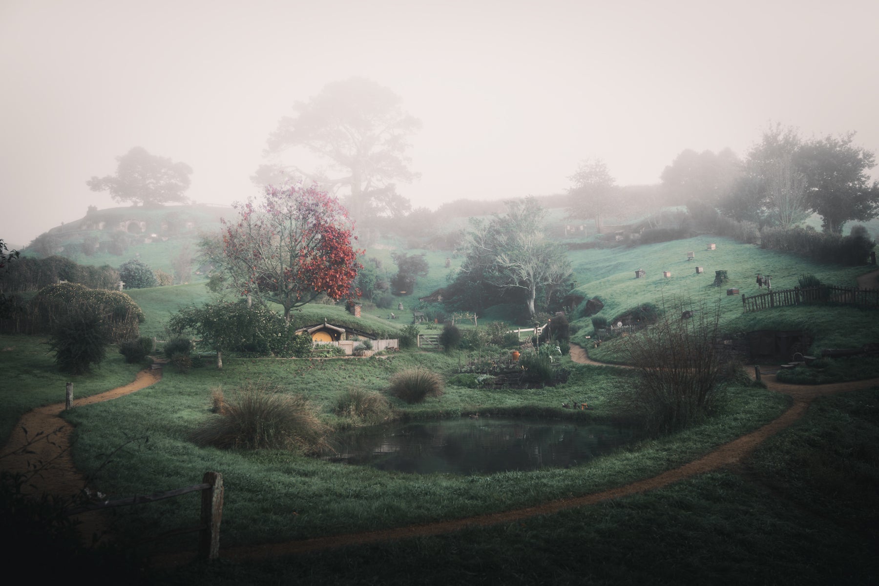jpg/Alpha-Universe-Domenic-Bornicke-The_Shire-1200_boundsghflou.jpg?height=1200&fit=bounds