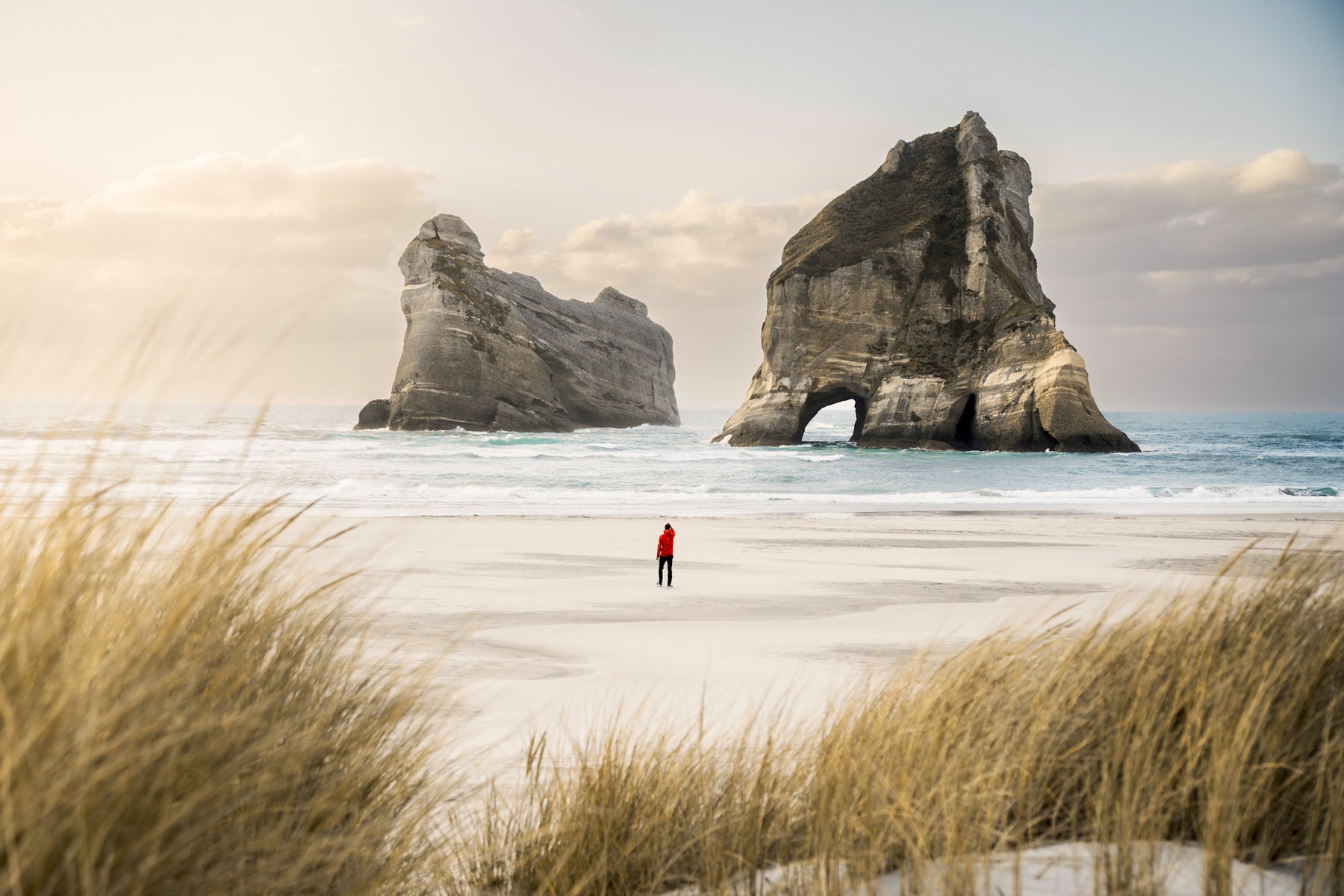 jpg/Alpha-Universe-Domenic-Bornicke-Wharariki_Beach-1200_boundssma8vr.jpg?height=1200&fit=bounds