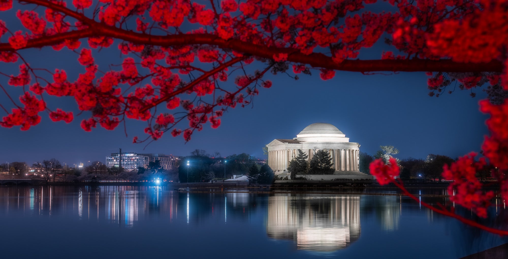 jpg/Alpha-Universe-Drew-Geraci-Cherry-Blossoms-LEDs-4-1200_boundsrsvhrn.jpg?height=1200&fit=bounds