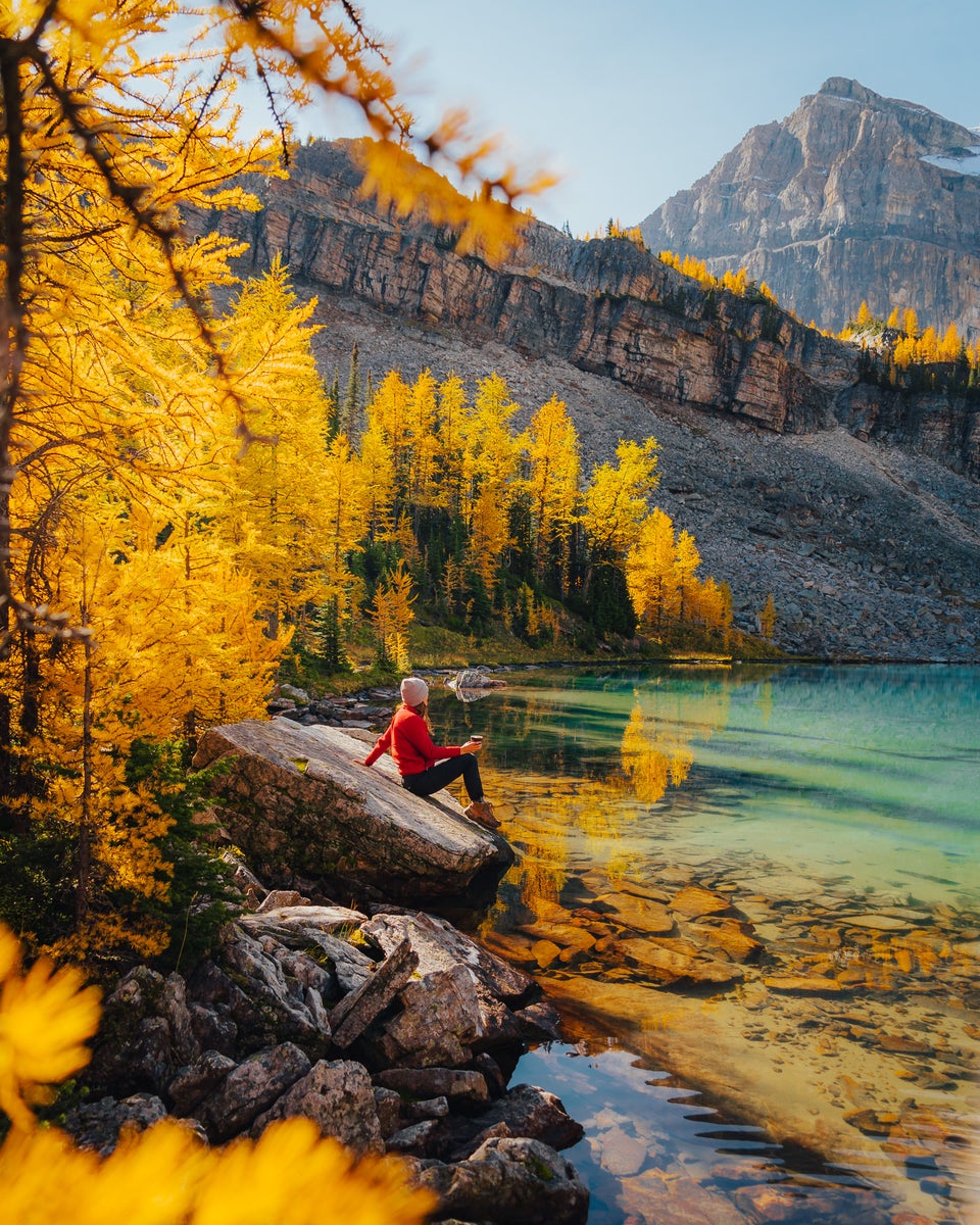 jpg/Alpha-Universe-Fall-Color-Cate-Schweitzer-10-1200_bounds8z7kh2.jpg?height=1200&fit=bounds
