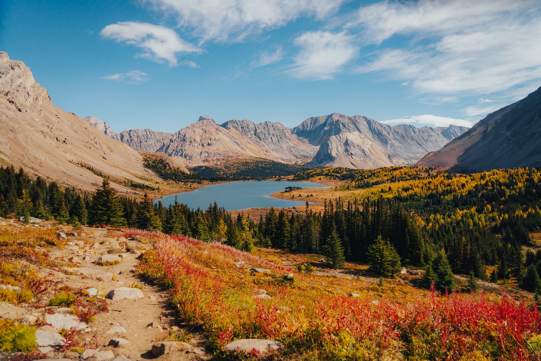 jpg/Alpha-Universe-Fall-Color-Cate-Schweitzer-11-1200_bounds26z778.jpg?height=1200&fit=bounds