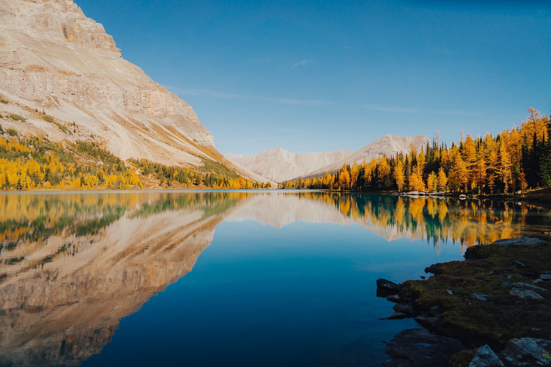 jpg/Alpha-Universe-Fall-Color-Cate-Schweitzer-12-1200_boundsp8ug6t.jpg?height=1200&fit=bounds