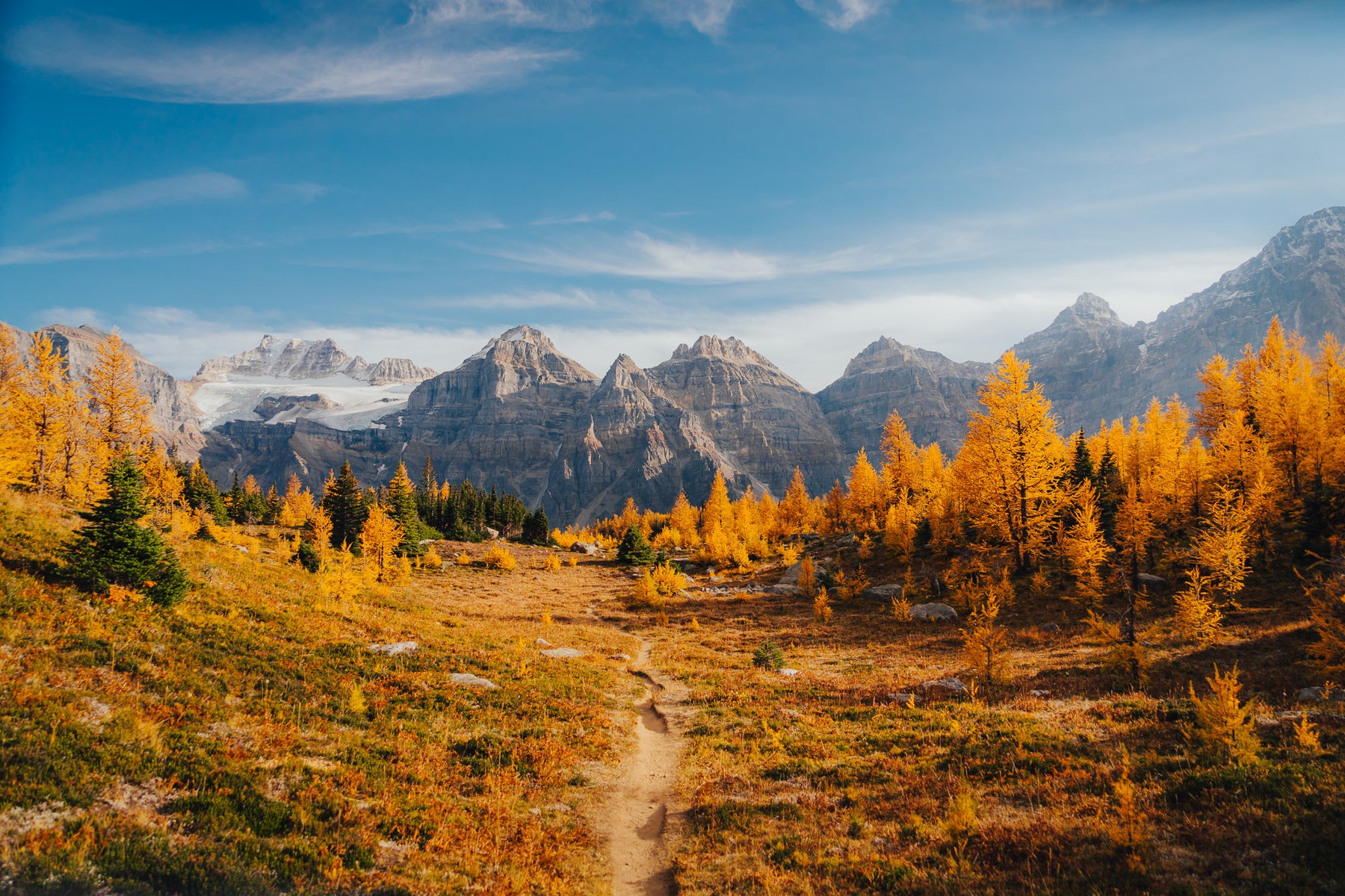 jpg/Alpha-Universe-Fall-Color-Cate-Schweitzer-13-1200_boundsn7x76j.jpg?height=1200&fit=bounds
