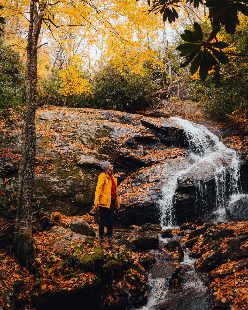 jpg/Alpha-Universe-Fall-Color-Cate-Schweitzer-2-1200_boundsw58do2.jpg?height=1200&fit=bounds
