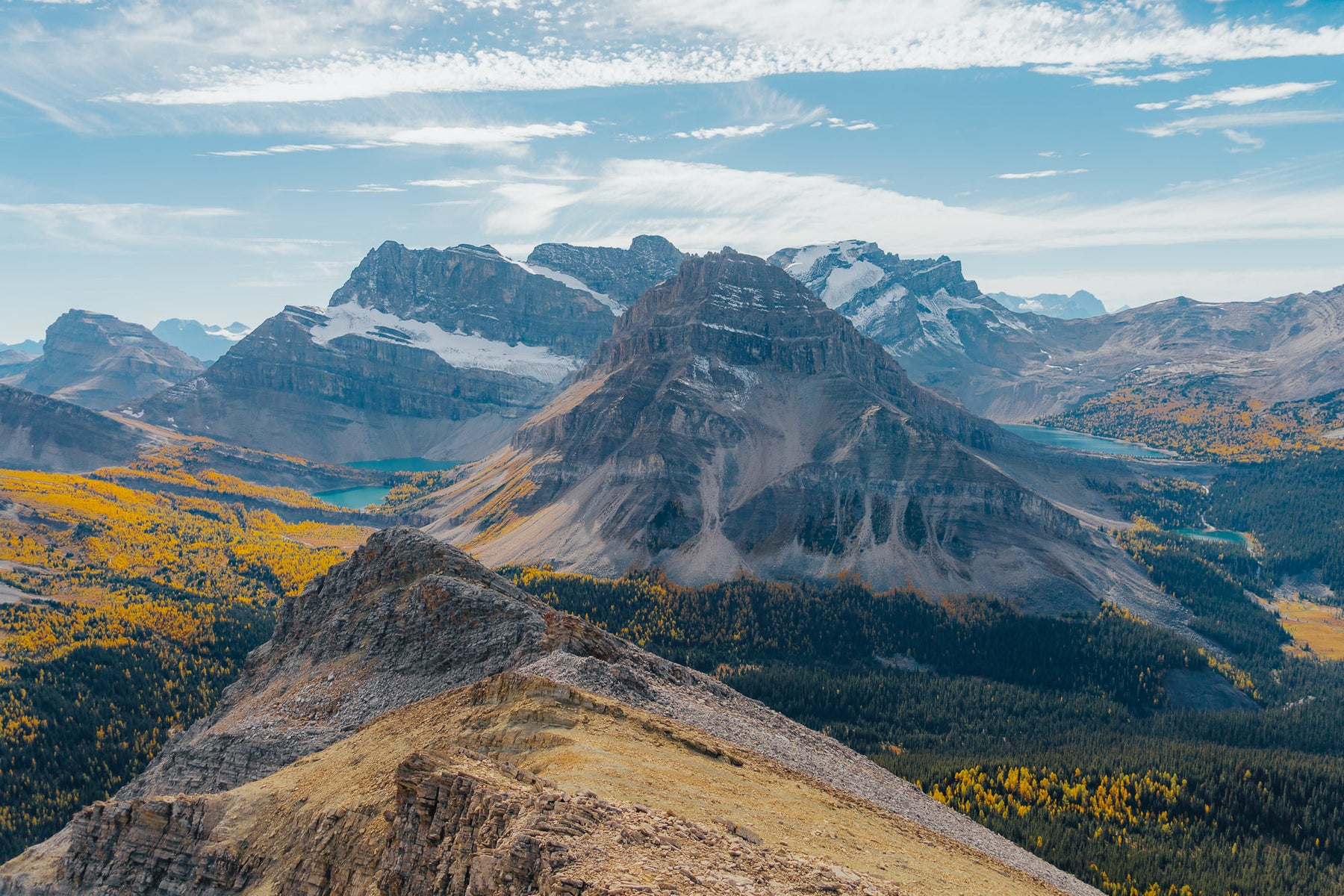 jpg/Alpha-Universe-Fall-Color-Cate-Schweitzer-7-1200_boundswid4fo.jpg?height=1200&fit=bounds