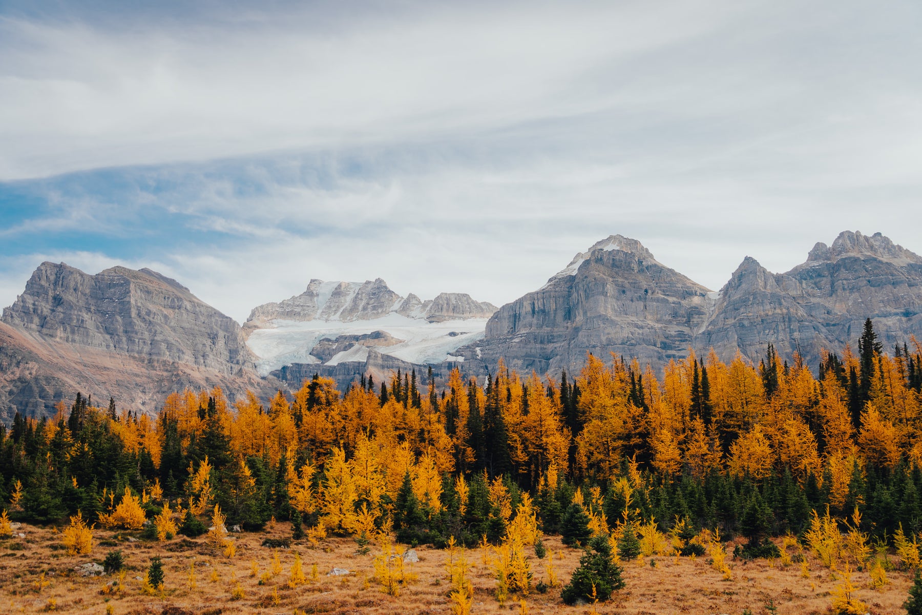 jpg/Alpha-Universe-Fall-Color-Cate-Schweitzer-8-1200_bounds4qazrb.jpg?height=1200&fit=bounds