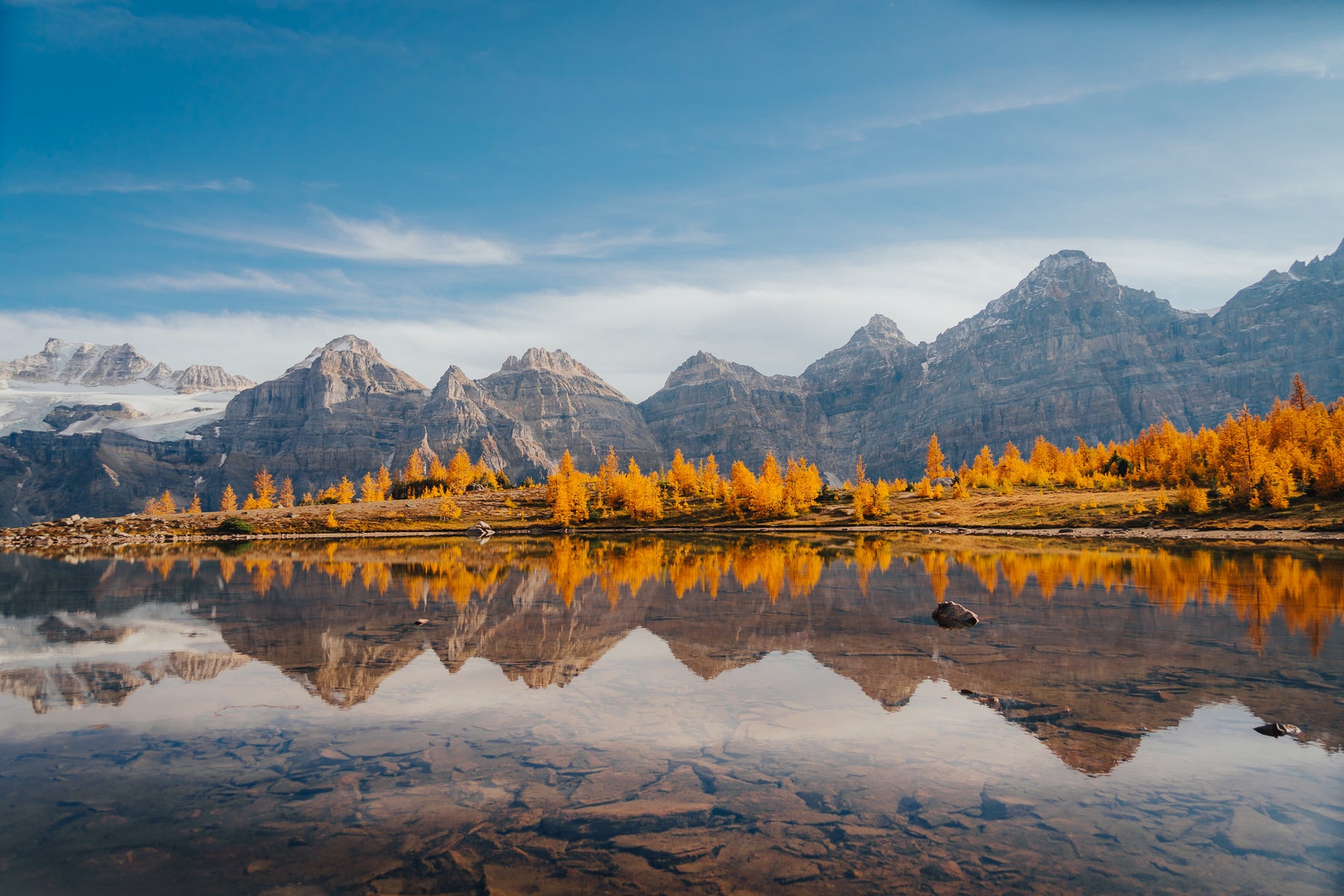 jpg/Alpha-Universe-Fall-Color-Cate-Schweitzer-9-1200_boundsg7cnub.jpg?height=1200&fit=bounds