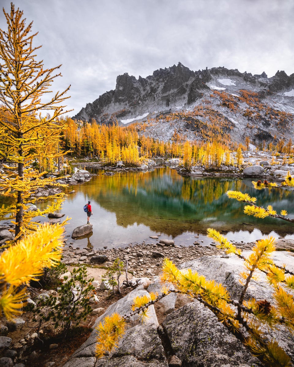 jpg/Alpha-Universe-Fall-Color-Jesse-Roos-1-1200_boundsjak8zk.jpg?height=1200&fit=bounds