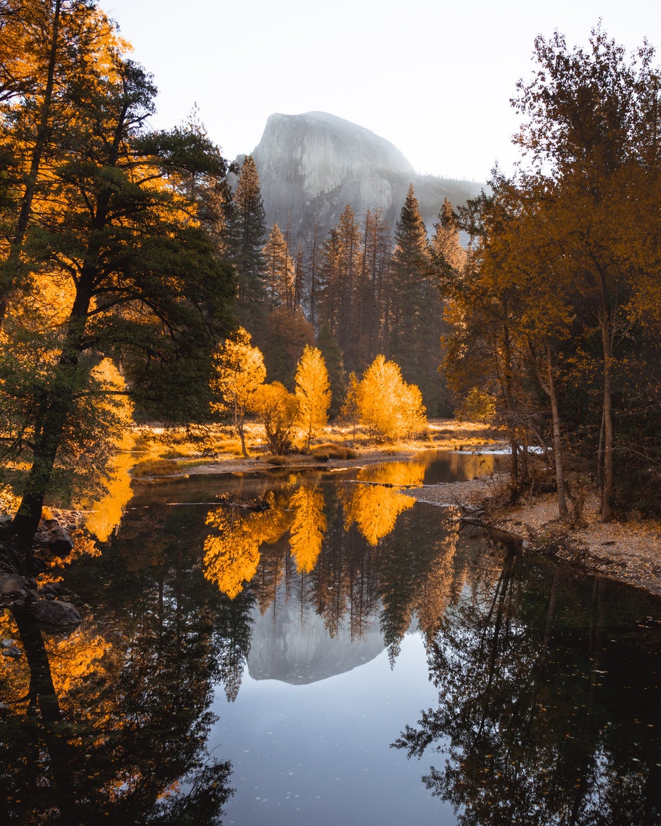 jpg/Alpha-Universe-Fall-Color-Jesse-Roos-6-1200_boundssdbc19.jpg?height=1200&fit=bounds