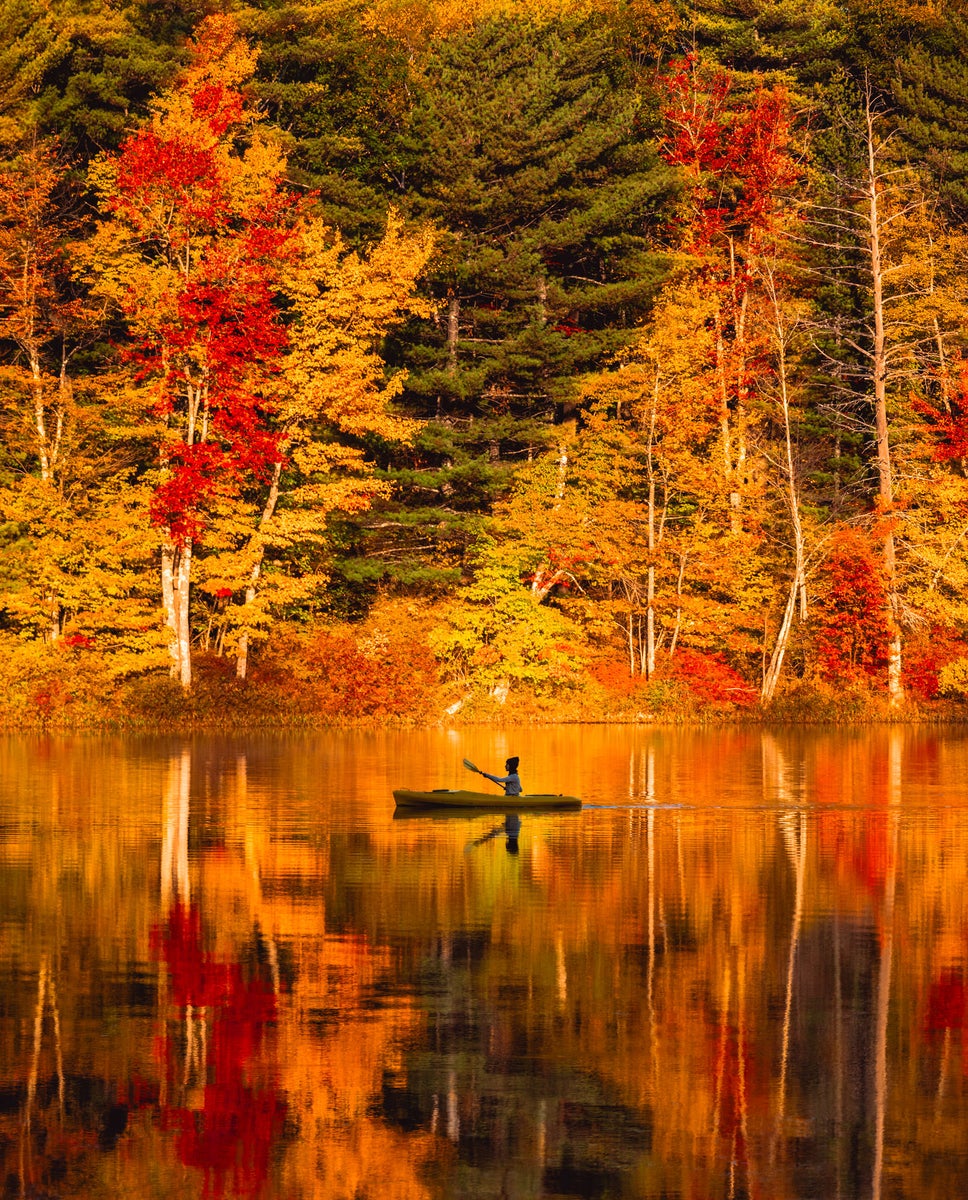 jpg/Alpha-Universe-Fall-Color-Jesse-Roos-9-1200_bounds4jxy4w.jpg?height=1200&fit=bounds