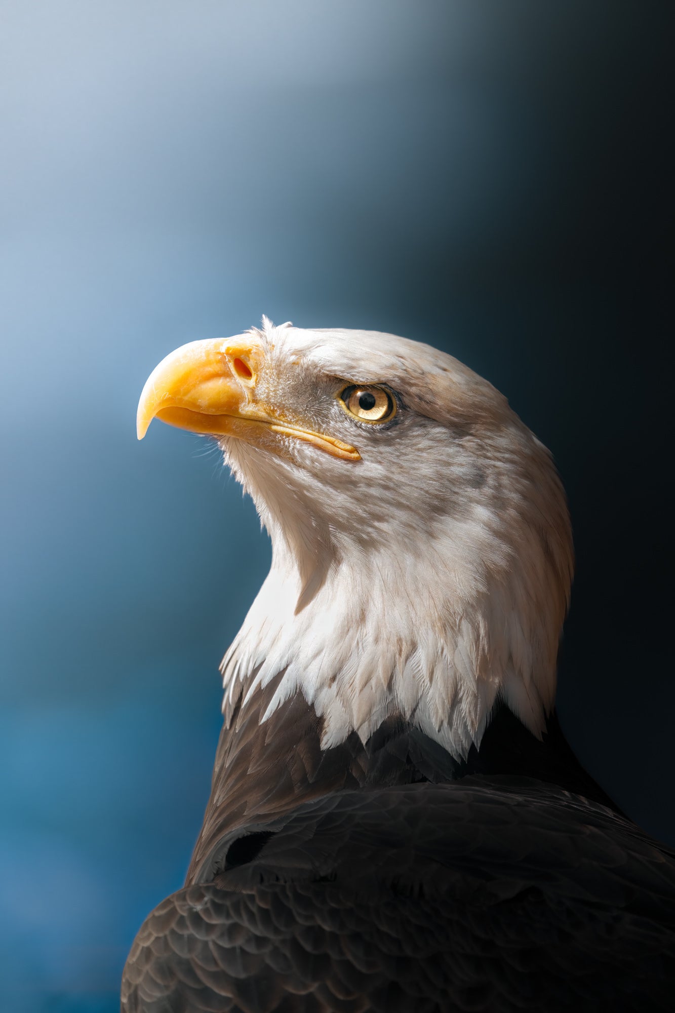 Photo by Hayden Dumaw. Alpha 7R IV. 200-600mm f/5.6-6.3 G. 1/800-sec., f/6.3, ISO 160 Photo by Hayden Dumaw. Alpha 7R IV. 200-600mm f/5.6-6.3 G. 1/800-sec., f/6.3, ISO 160
