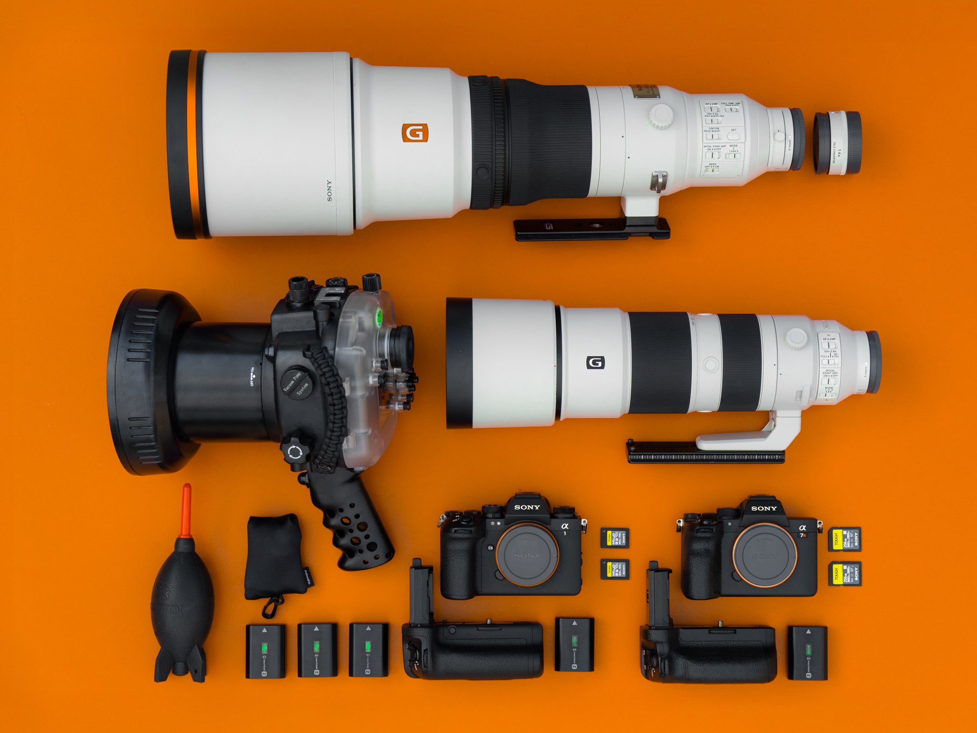 Hayden Dumaw's photography gear for wildlife Hayden Dumaw's photography gear for wildlife