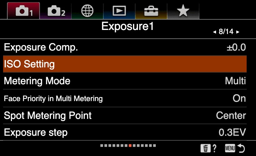 ISO Setting on a Sony camera