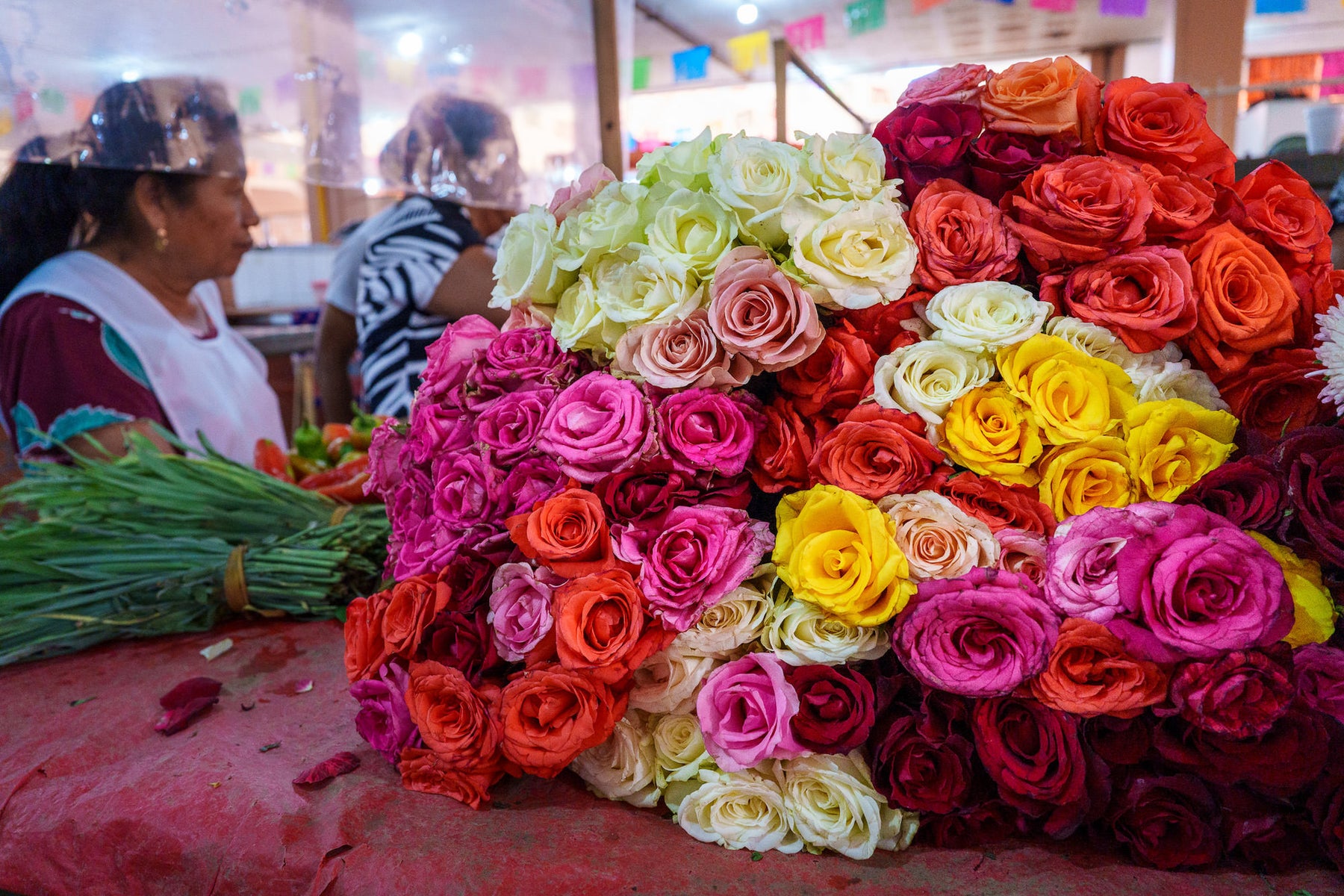 jpg/Alpha-Universe-Katrin-Eismann_Mexico_24mm-09-1200_bounds4z9gpc.jpg?height=1200&fit=bounds