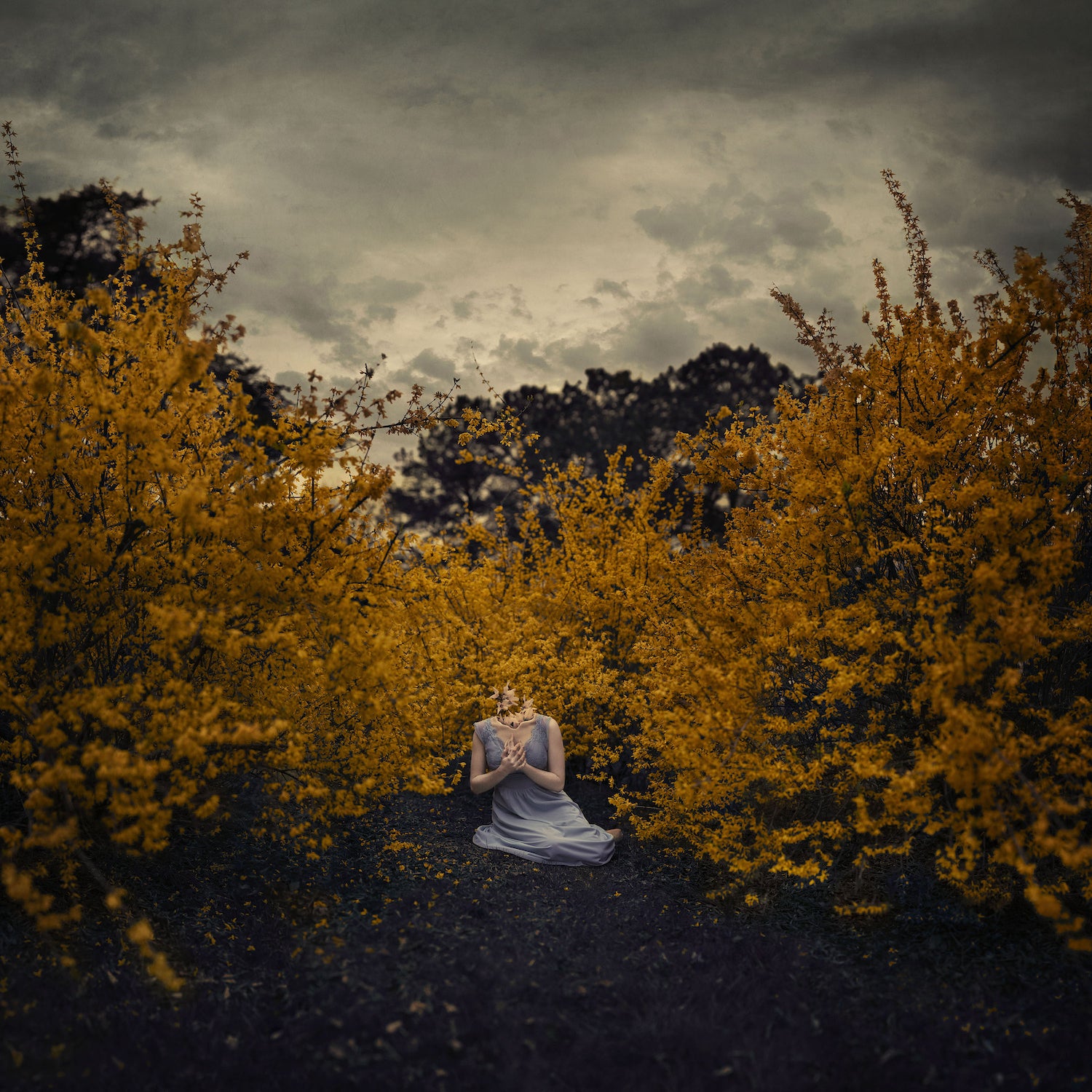 Alpha-Universe-Lillian-Merritt-Self-Portrait-2.jpg Alpha-Universe-Lillian-Merritt-Self-Portrait-2.jpg