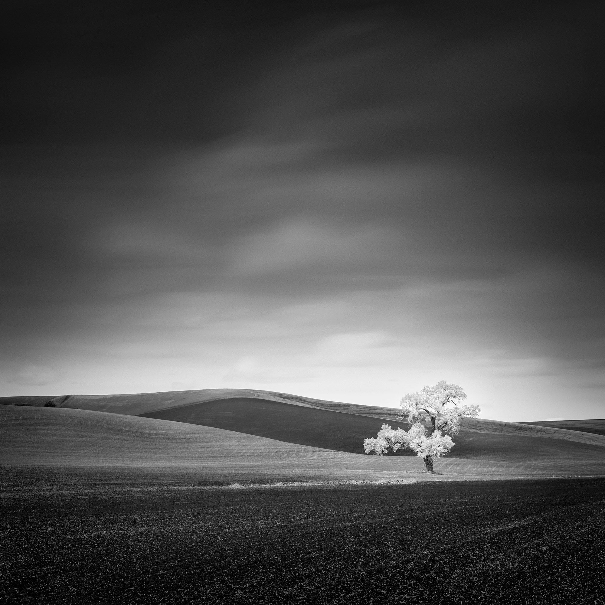 Photo by Thibault Roland. Sony Alpha 7R III. Sony 100-400mm f/4.5-5.6 G Master. 47-sec., f/11, ISO 100
