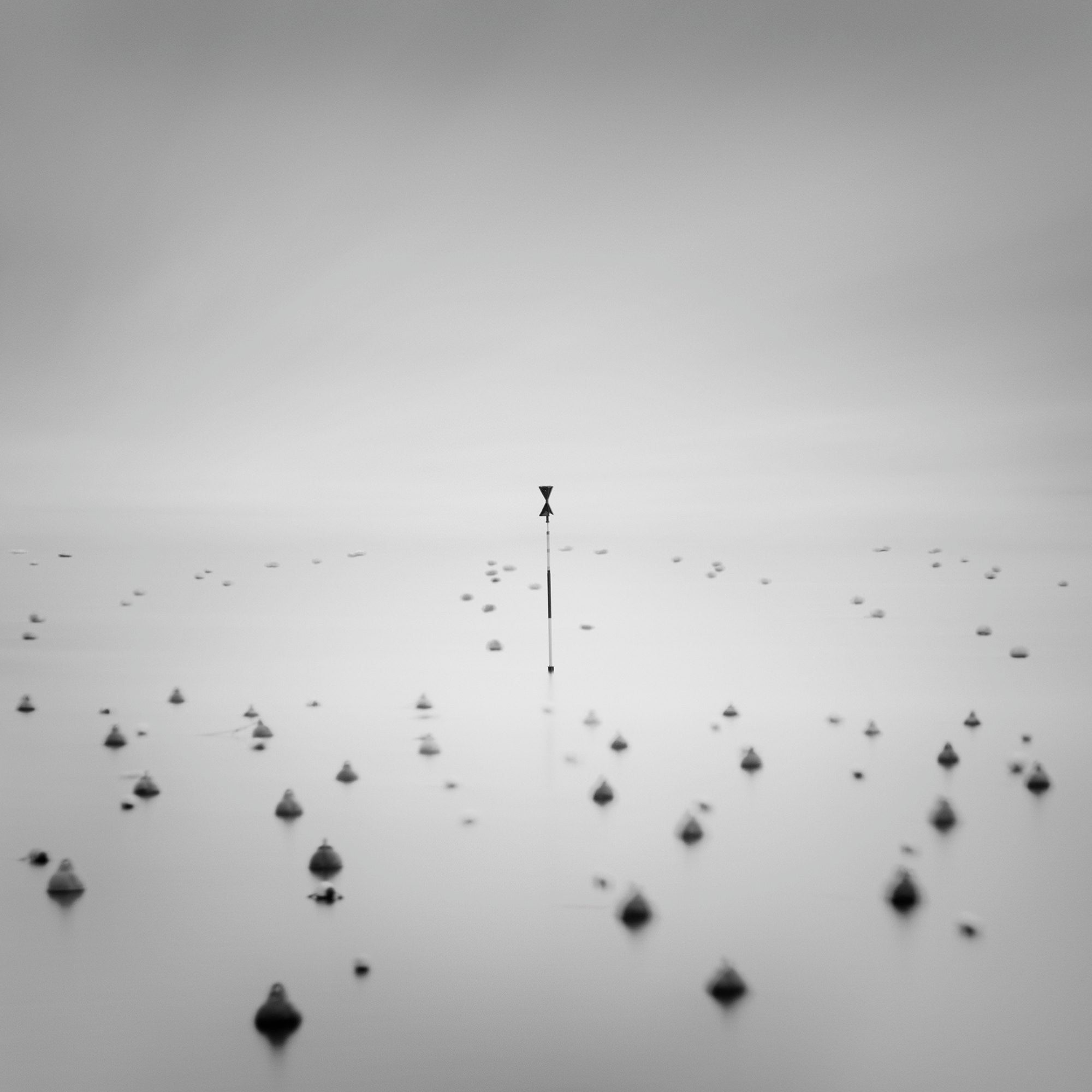 Photo by Thibault Roland. Sony Alpha 7R II. Sony 70-200m f/2.8 G Master.
