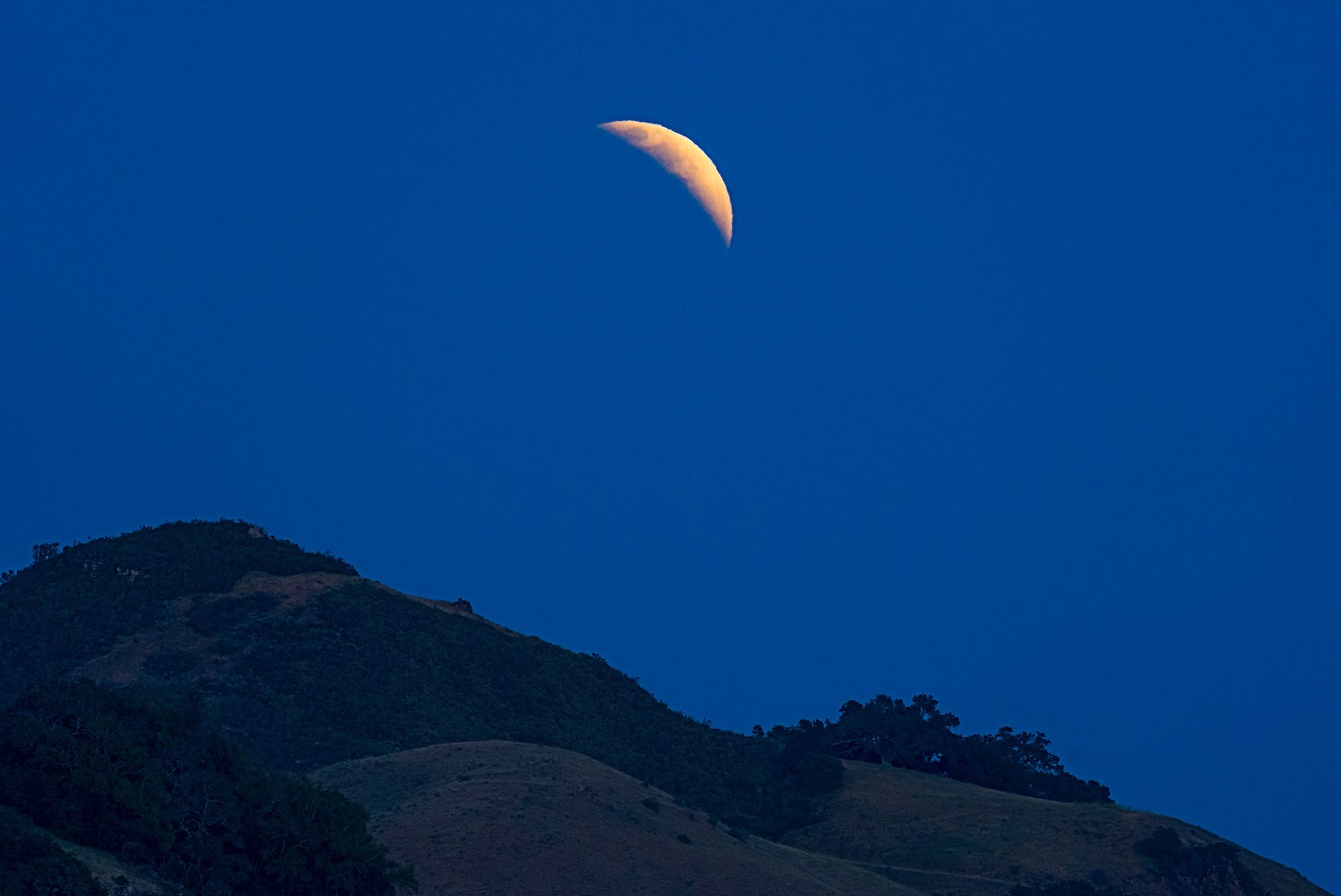 jpg/Alpha-Universe-Lunar-Eclipse-Don-Smith-1-1200_bounds9w3s5f.jpg?height=1200&fit=bounds