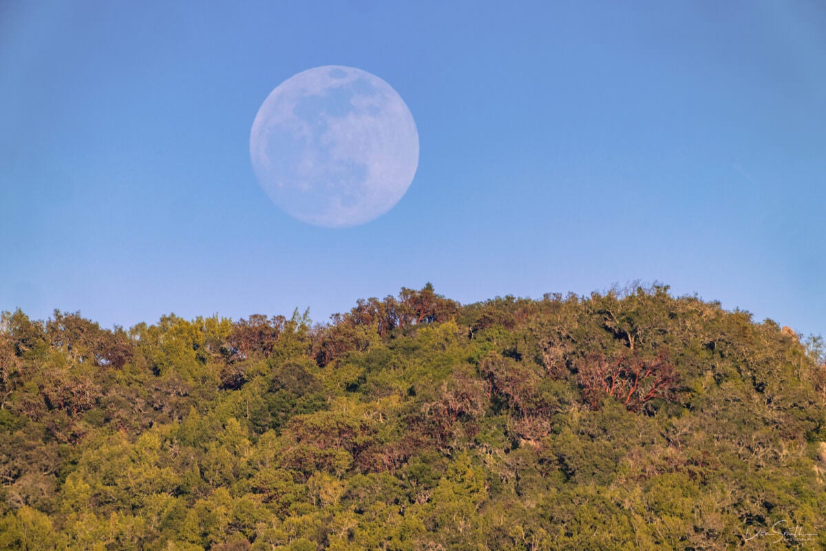 jpg/Alpha-Universe-Lunar-Eclipse-Don-Smith-6-1200_boundsyd15c0.jpg?height=1200&fit=bounds