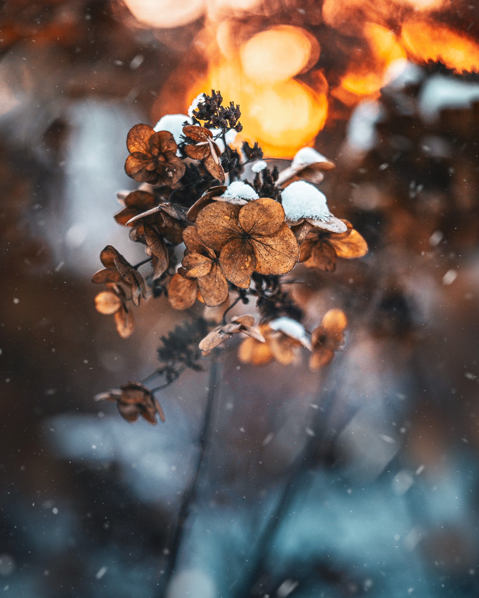 Photo by Kristīne Zāle. Sony Alpha 7 IV. Sony 90mm f/2.8 Macro G. 1/400-sec., f/2.8, ISO 800