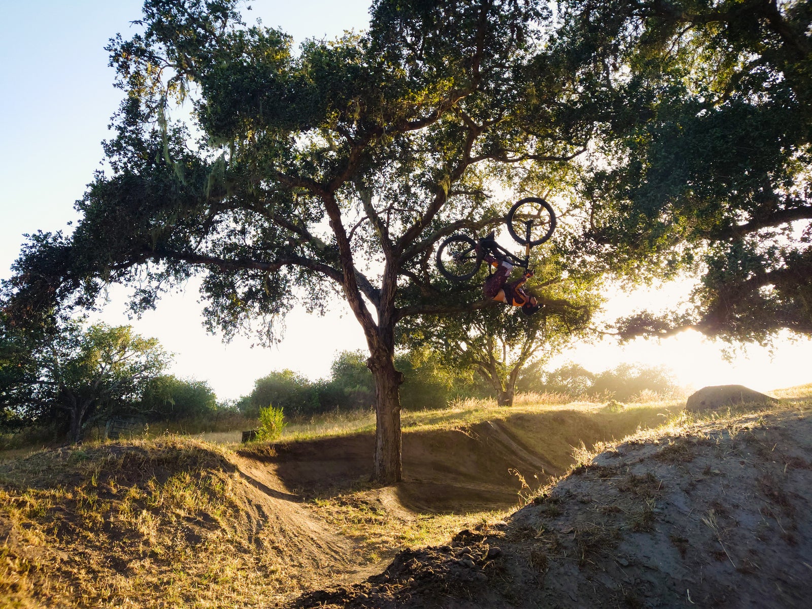 jpg/Alpha-Universe-MountainBikes-Chris-Burkard-Xperia1IV-5-1200_bounds8xgdz3.jpg?height=1200&fit=bounds