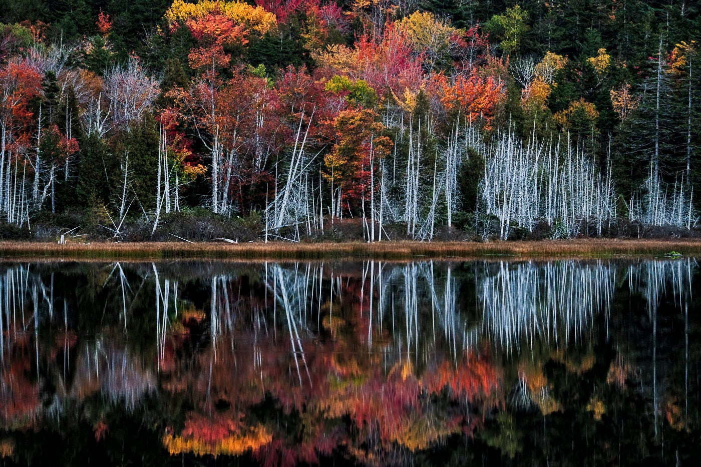 jpg/Alpha-Universe-National-Parks-Andy-Katz-2-1200_boundslvxuo1.jpg?height=1200&fit=bounds