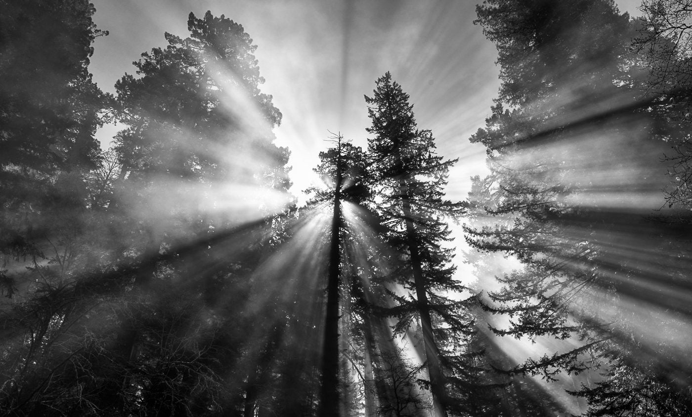 jpg/Alpha-Universe-National-Parks-Andy-Katz-71to3w3.jpg?height=1200&fit=bounds