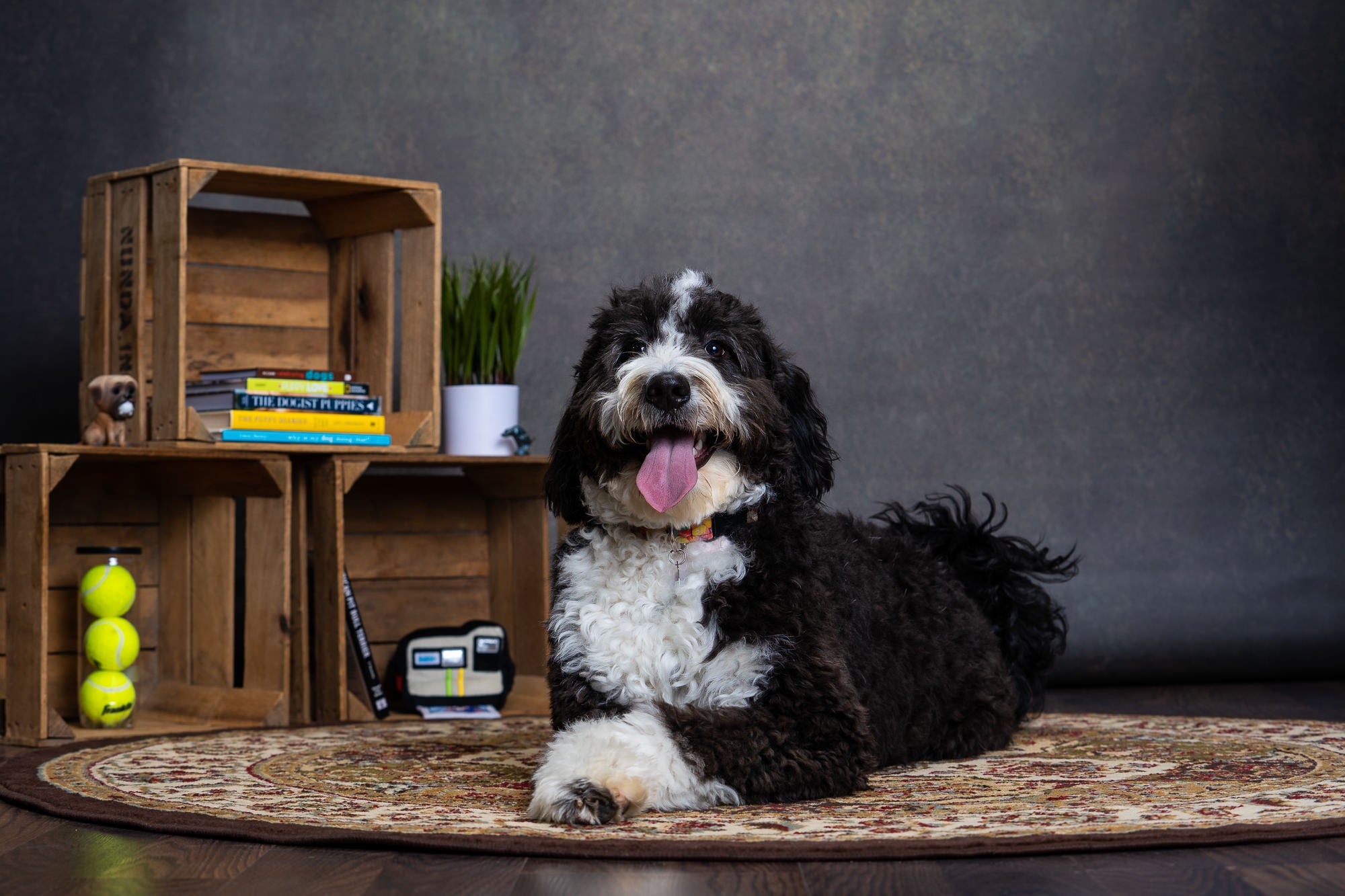 Photo by Tim Orendorff. Sony Alpha 7 III. Sony 70-200mm f/2.8 G Master. 1/200-sec., f/5, ISO 200