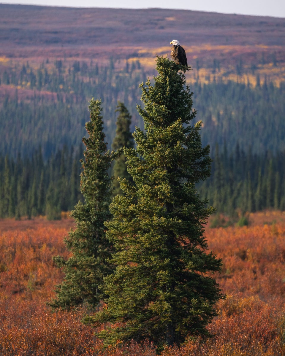 jpg/Alpha-Universe-Outdoor-Travel-Tips-Scott-Kranz-7-1200_boundsr3of8j.jpg?height=1200&fit=bounds