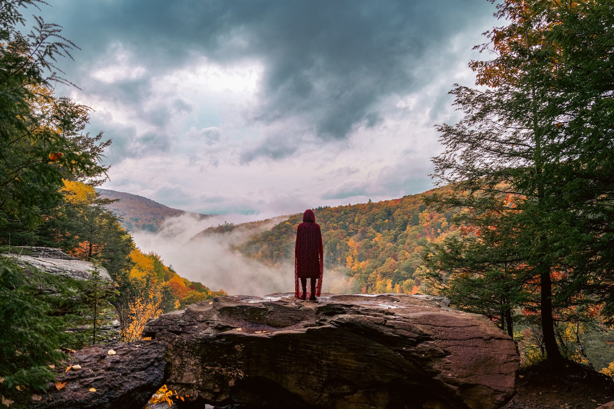 Alpha-Universe-Photo-By-Sal-D-Alia-A7R-V-2.jpg