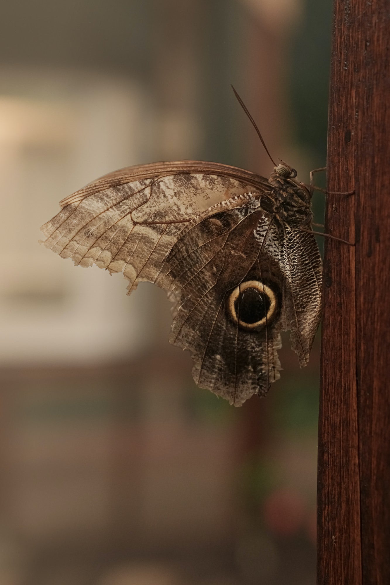 Photo by Caroline Jensen. Sony Alpha 7R V. Sony 90mm f/2.8 Macro G. 1/250-sec., f/5.6, ISO 640
