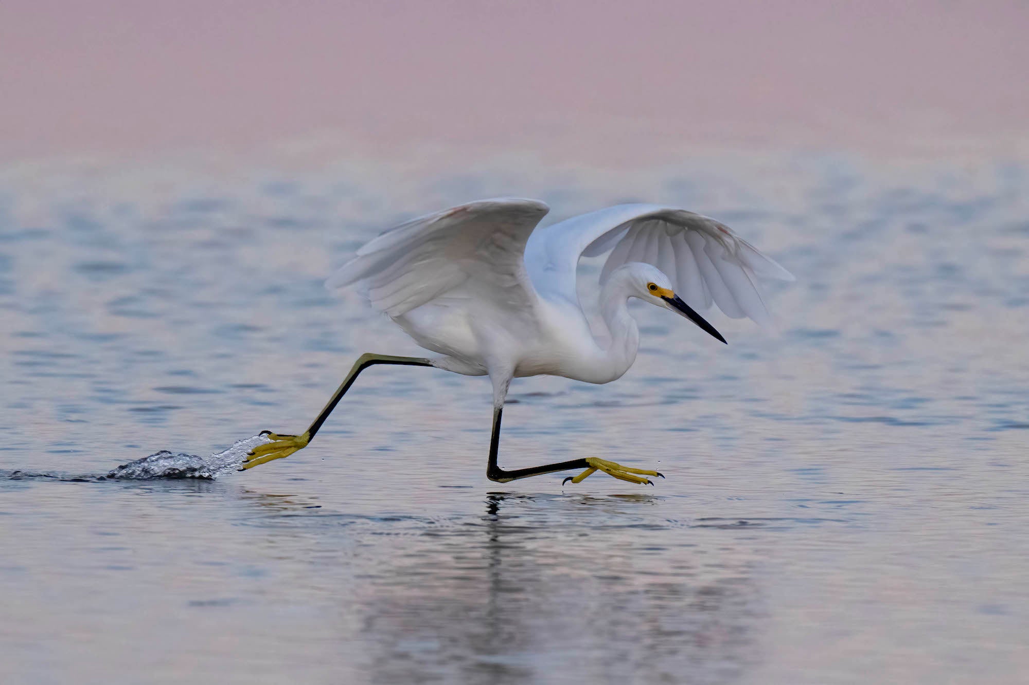 Photo by Matt Kloskowski. Sony Alpha 1. Sony 70-200mm f/2.8 G Master II. 1/2000-sec., f/5.6, ISO 3200