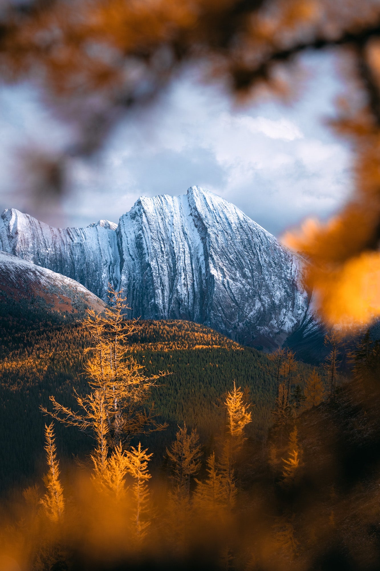 Photo by Matthew Hahnel. Sony 70-200mm f/2.8 G Master II.