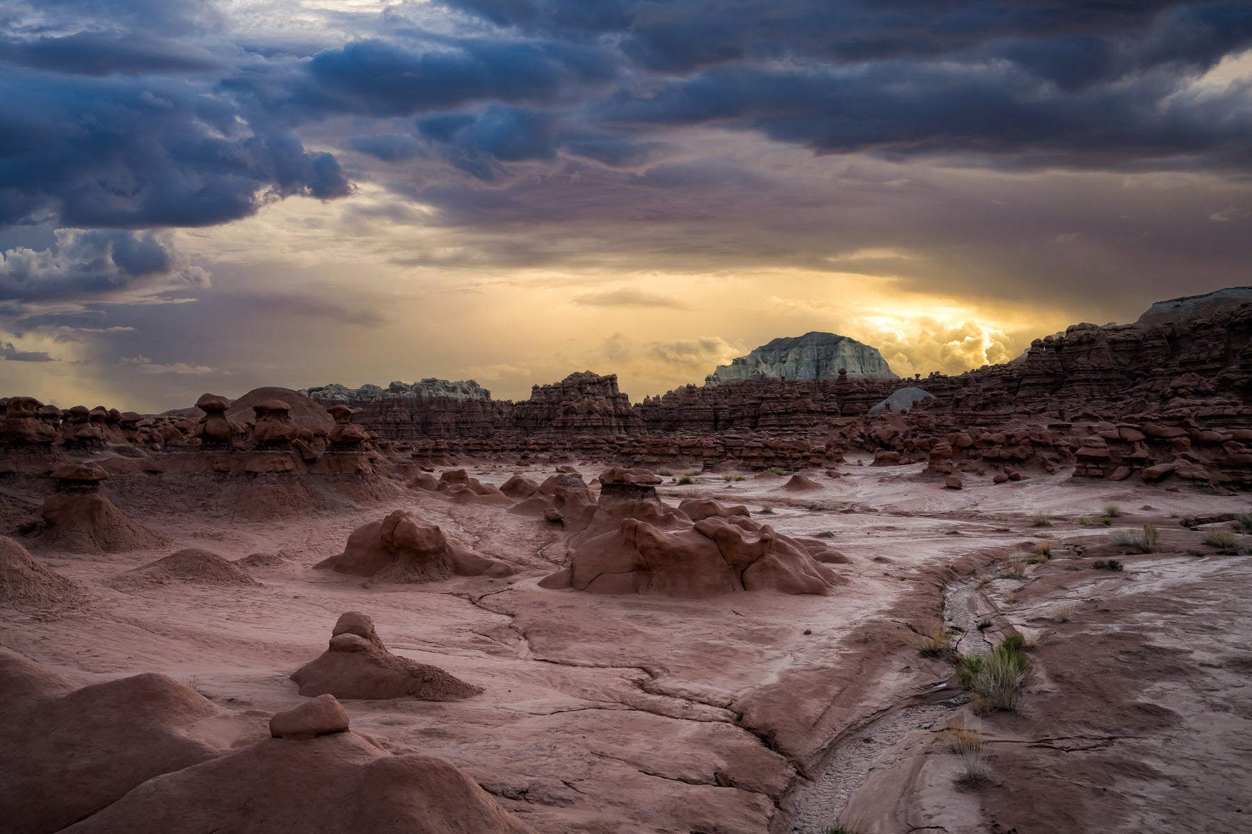 jpg/Alpha-Universe-Photo-by-Nate-Luebbe-_DSC0024-Edit.rJ9QyXUVs-1200_bounds4wiz2t.jpg?height=1200&fit=bounds