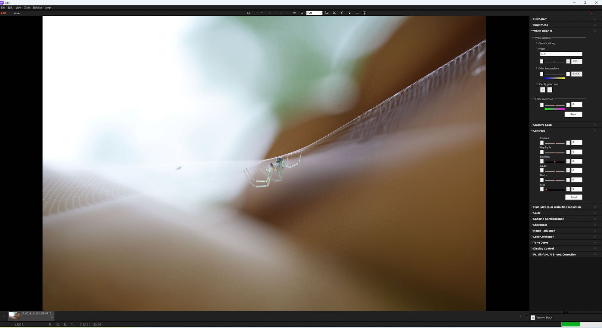 Sony Artisan Tony Gale shows his step-by-step guide to using Pixel Shift on your Alpha camera.