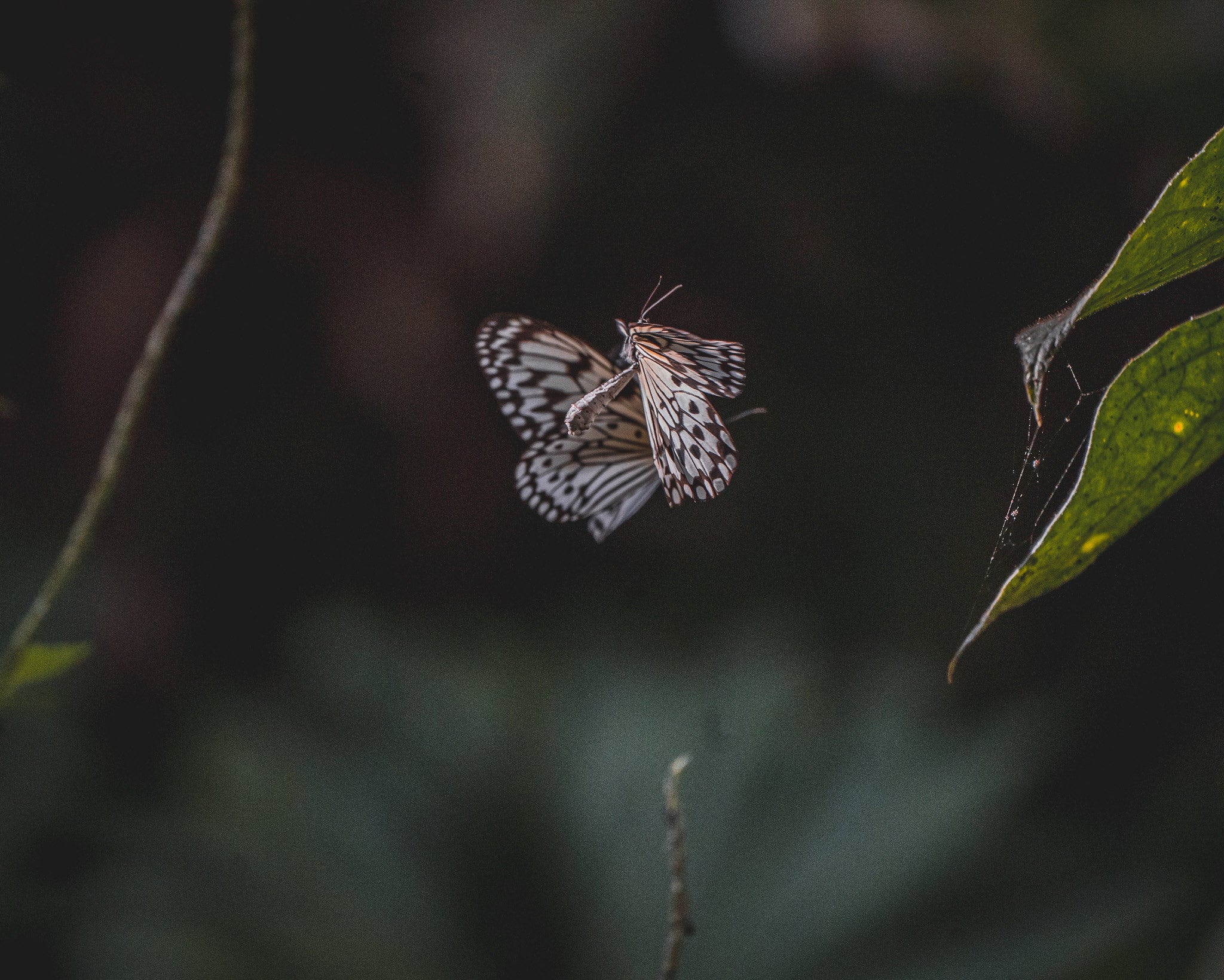 Photo by Hannah Mather.
