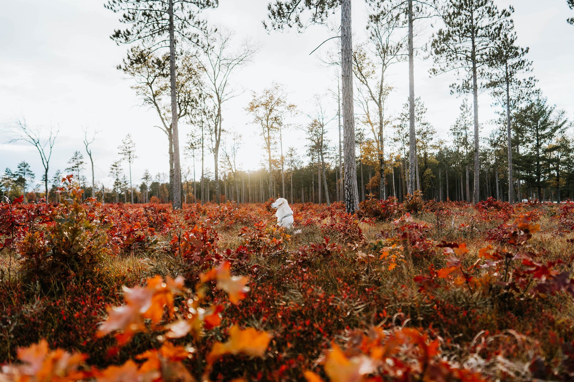 Photo by Rachel Jezowski. Sony Alpha 7 III. Sony 24mm f/1.4 G Master. 1/640-sec., f/1.8, ISO 200
